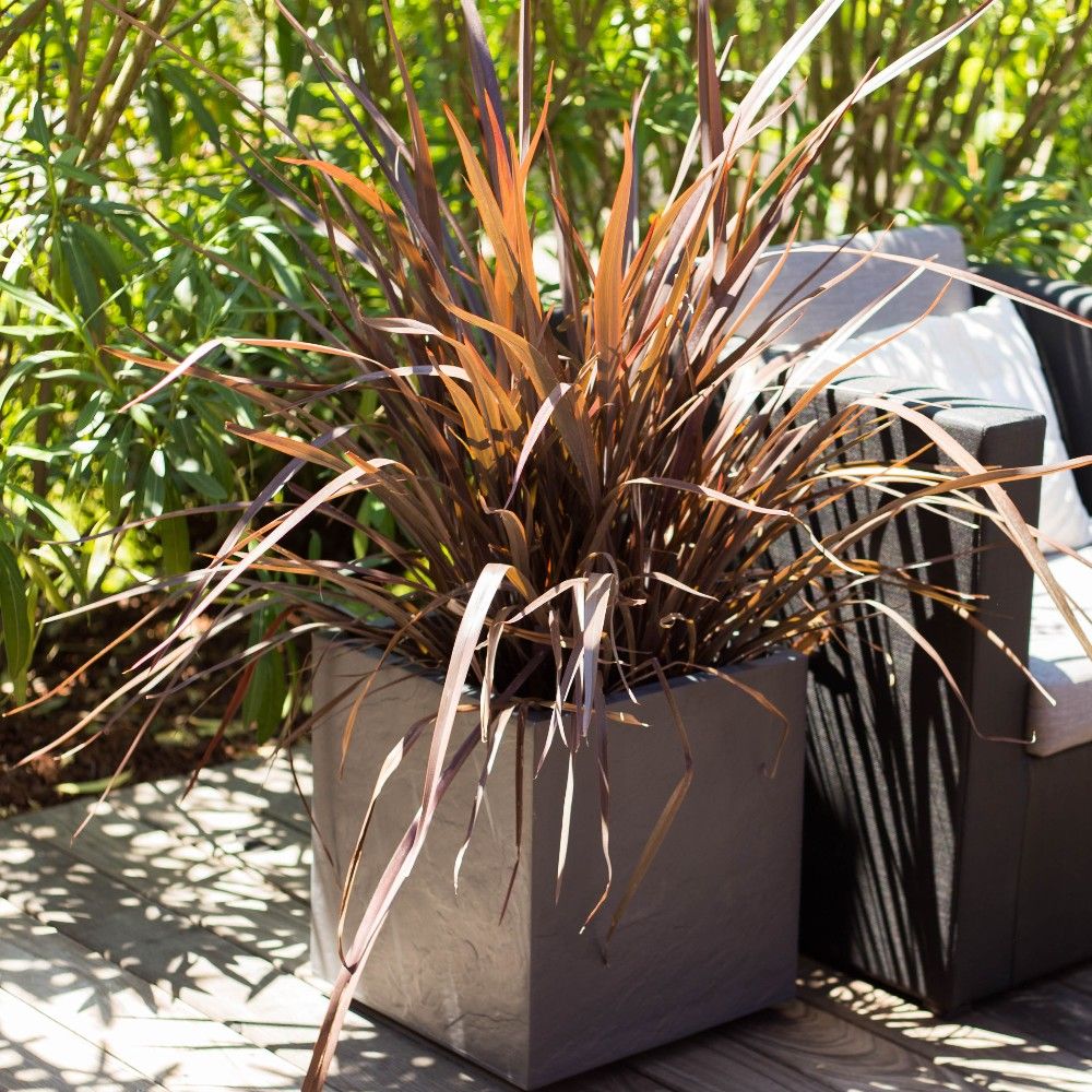 JARDINIERA 49,5X49,5 CM