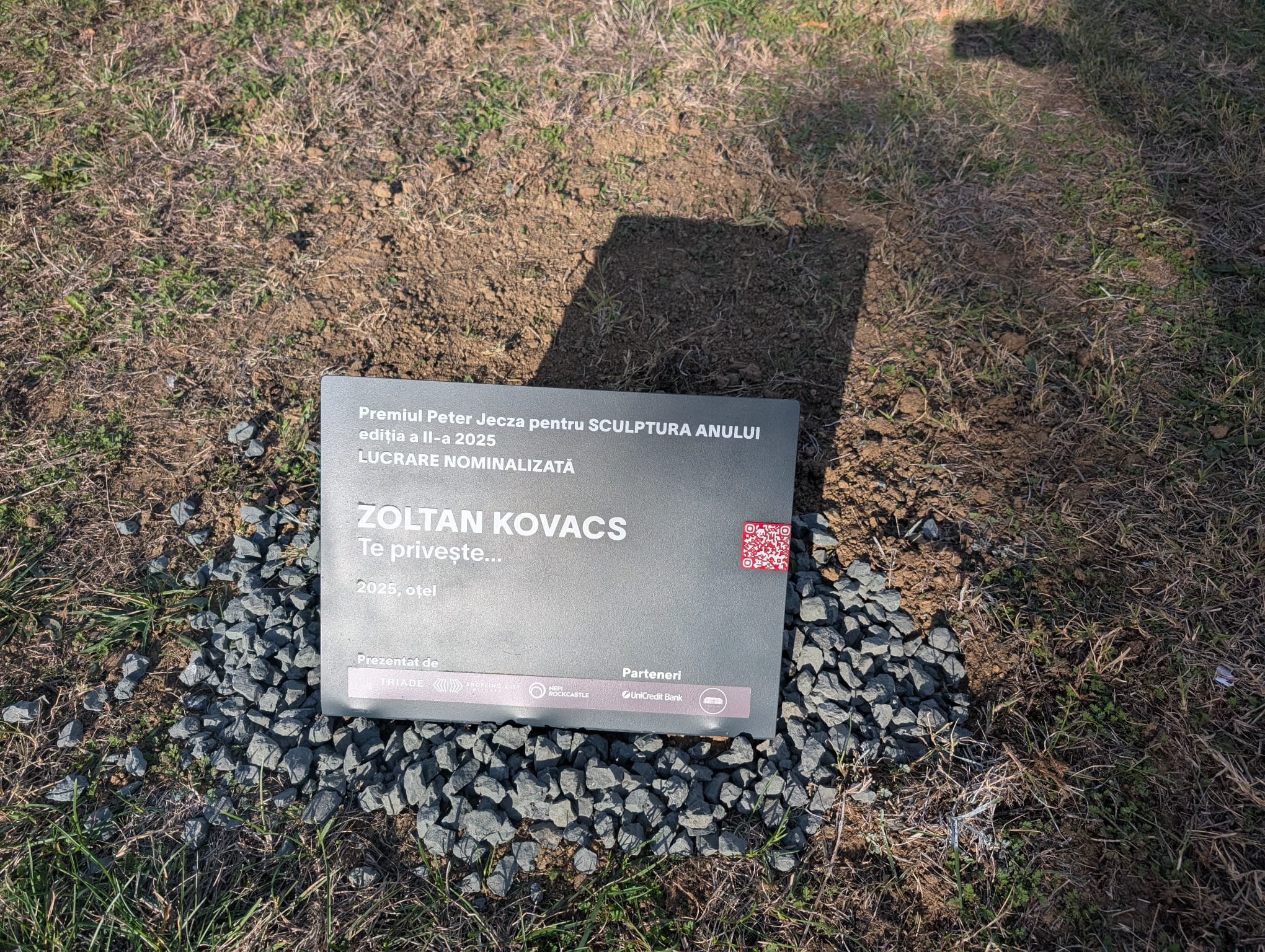 expo sculptura anului (8)