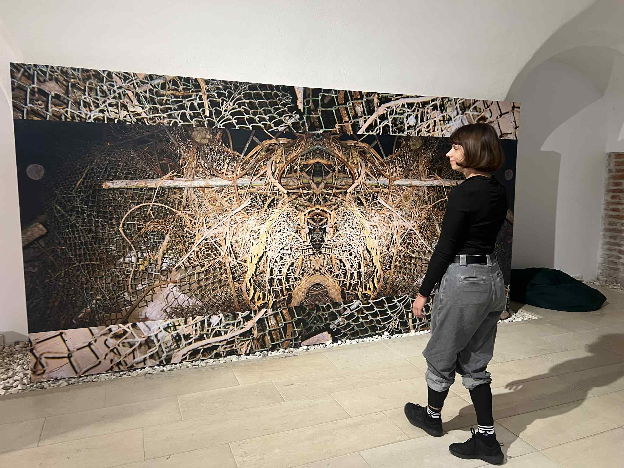 d906c088-a101-45e8-8b55-36c75a7456db