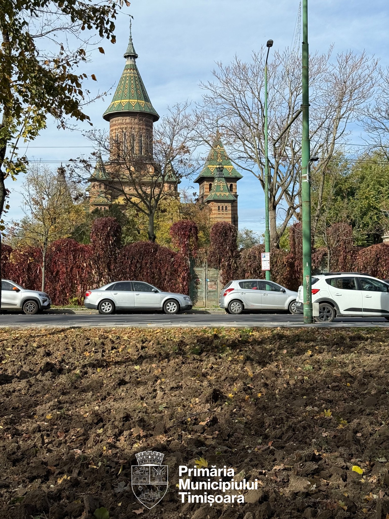 plantări parcul justiției (3)