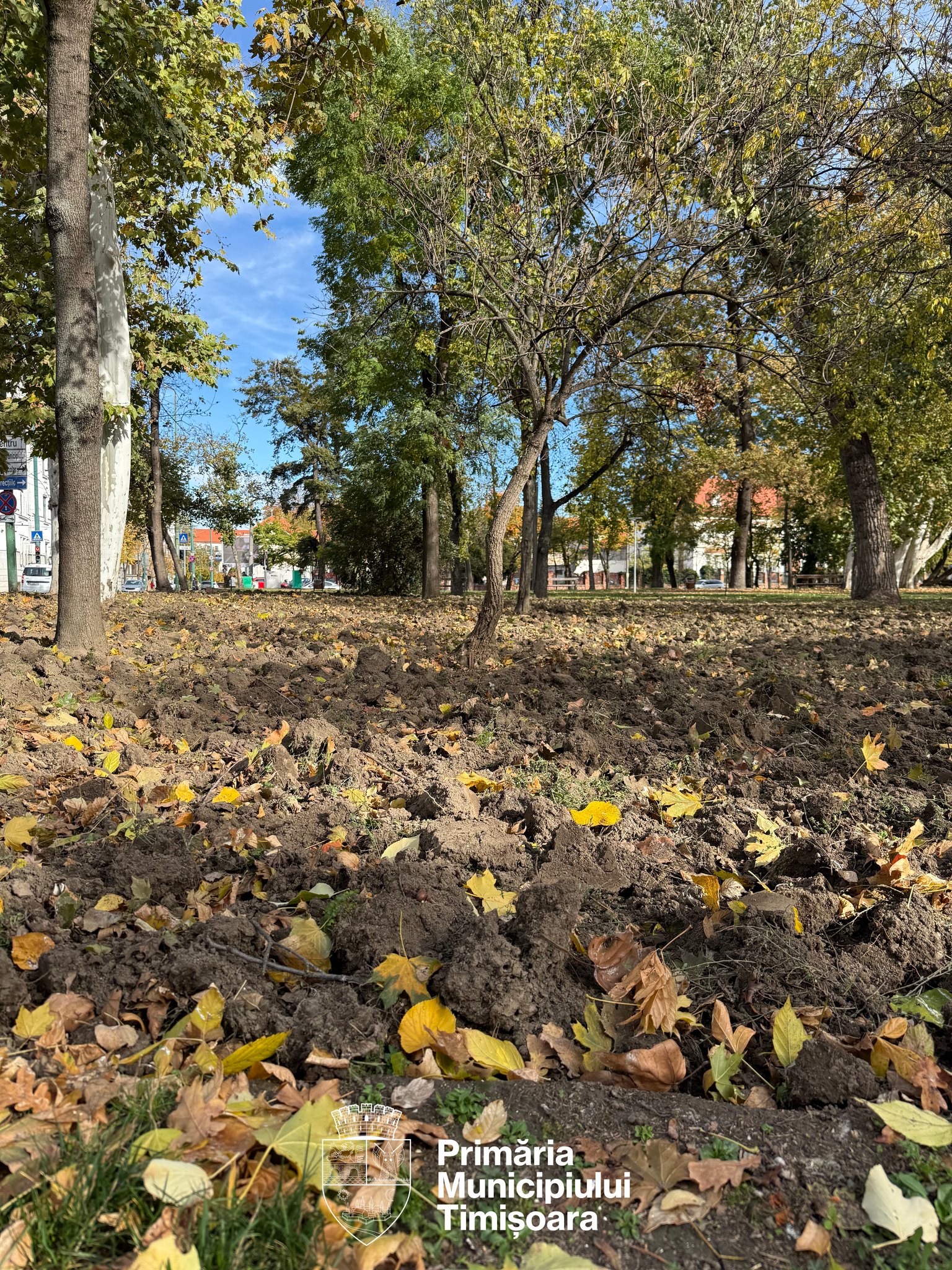 plantări parcul justiției (4)