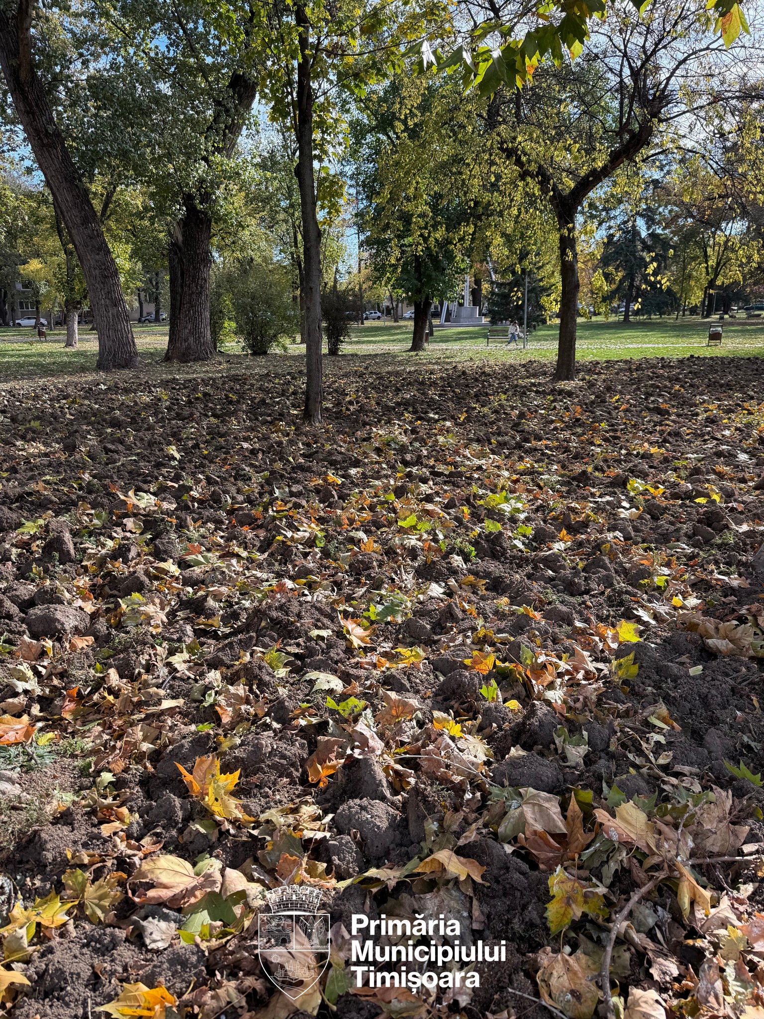 plantări parcul justiției (1)