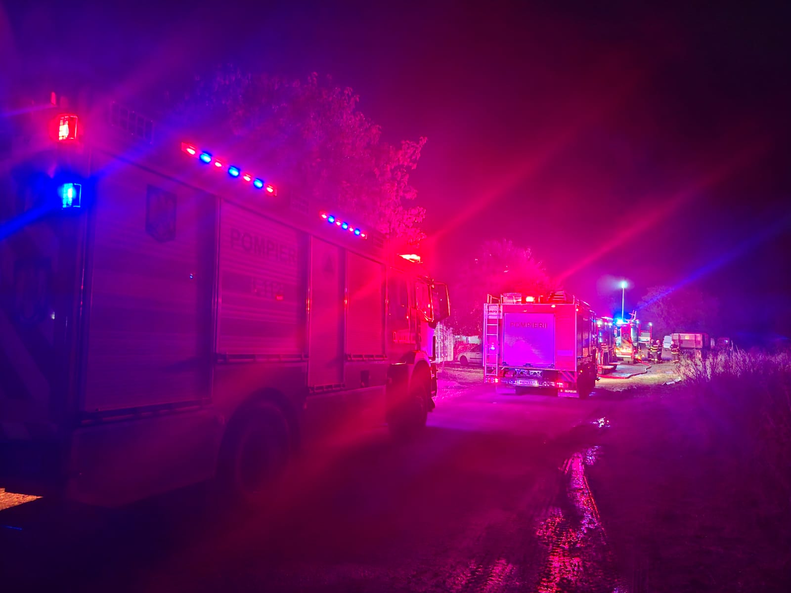 incendiu hala pompieri sag (2)