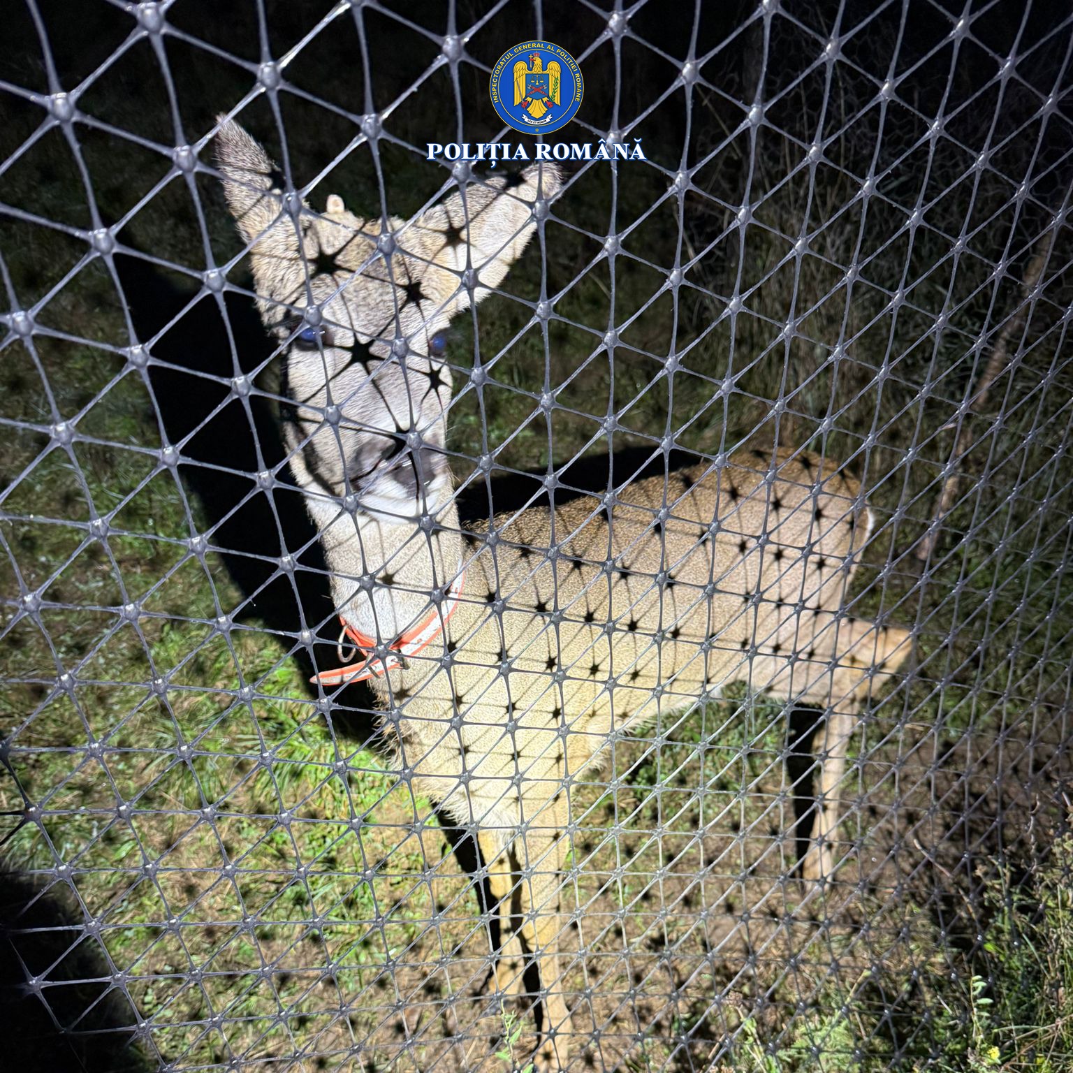 WhatsApp Image 2025-10-06 at 11.05.29