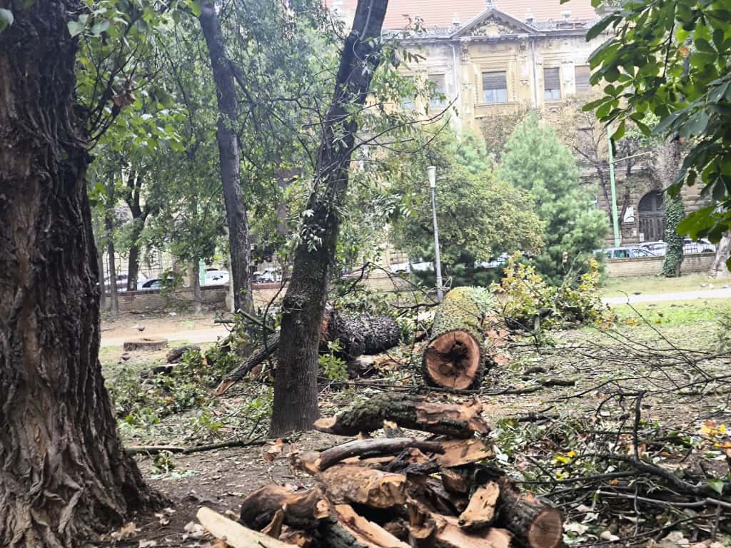 Imagine WhatsApp 2025-10-07 la 16.41.06_ab9961f9