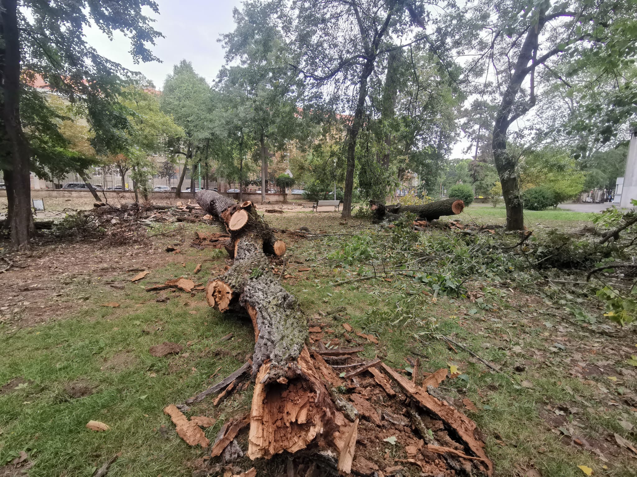 Imagine WhatsApp 2025-10-06 la 17.14.55_7bfd42a3