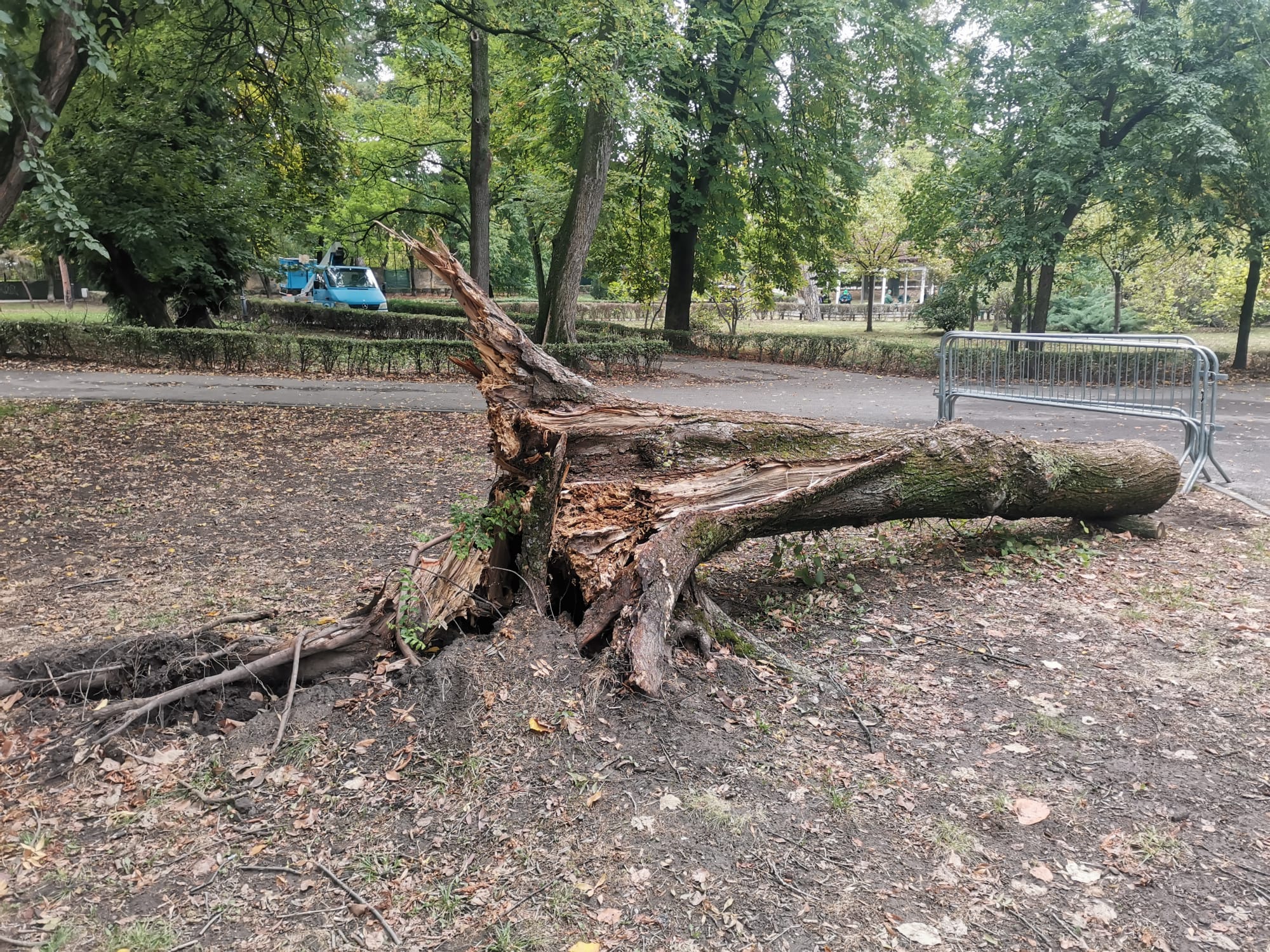 Imagine WhatsApp 2025-10-06 la 17.14.55_bdfec665