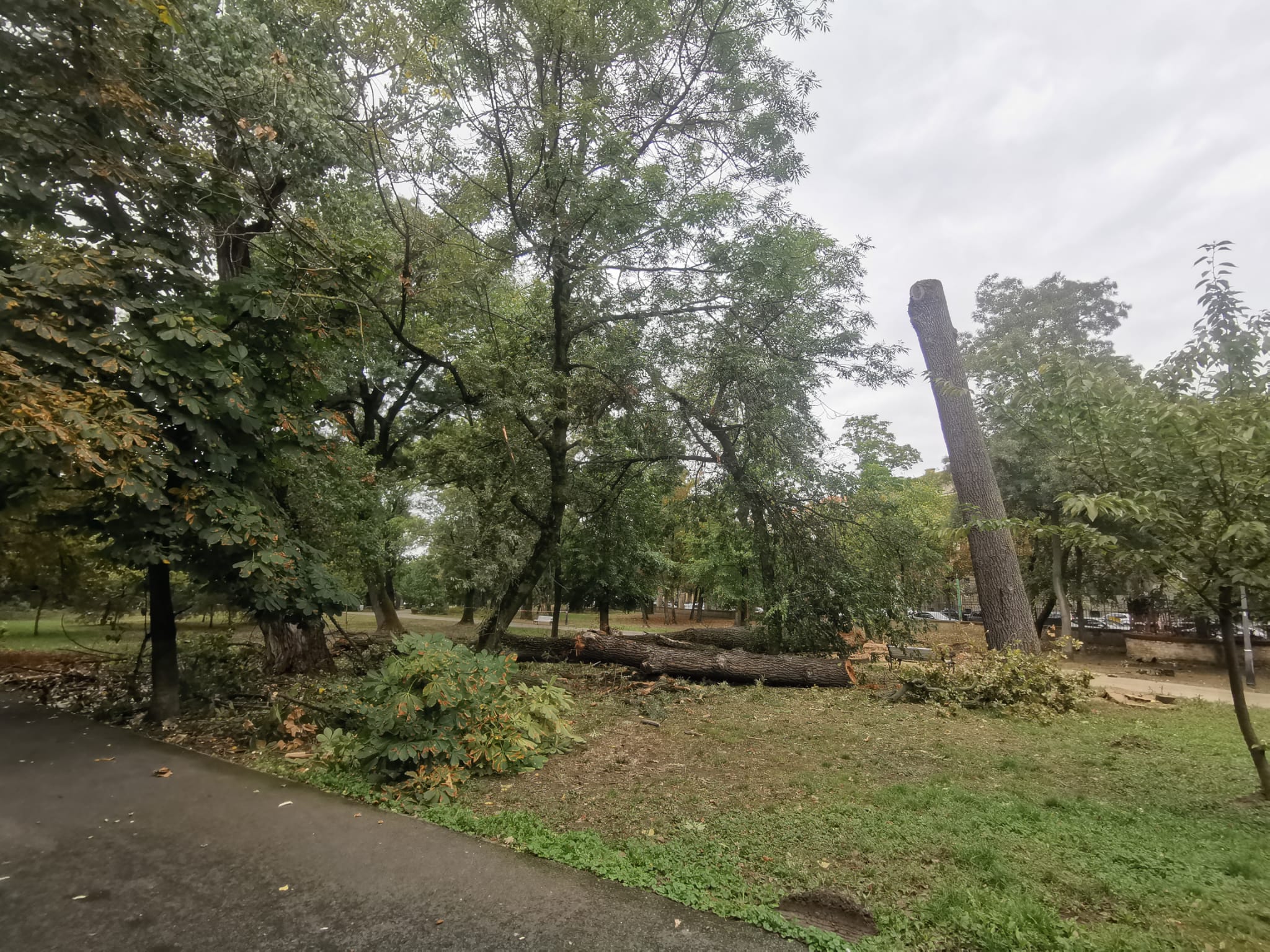 Imagine WhatsApp 2025-10-06 la 17.14.56_1f5bc7c7