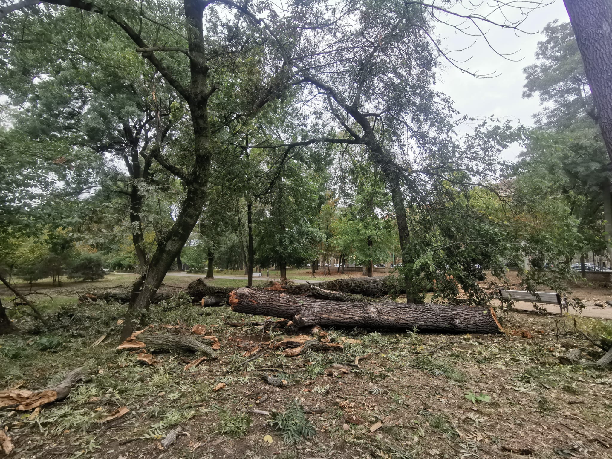 Imagine WhatsApp 2025-10-06 la 17.14.56_b2bc21d8