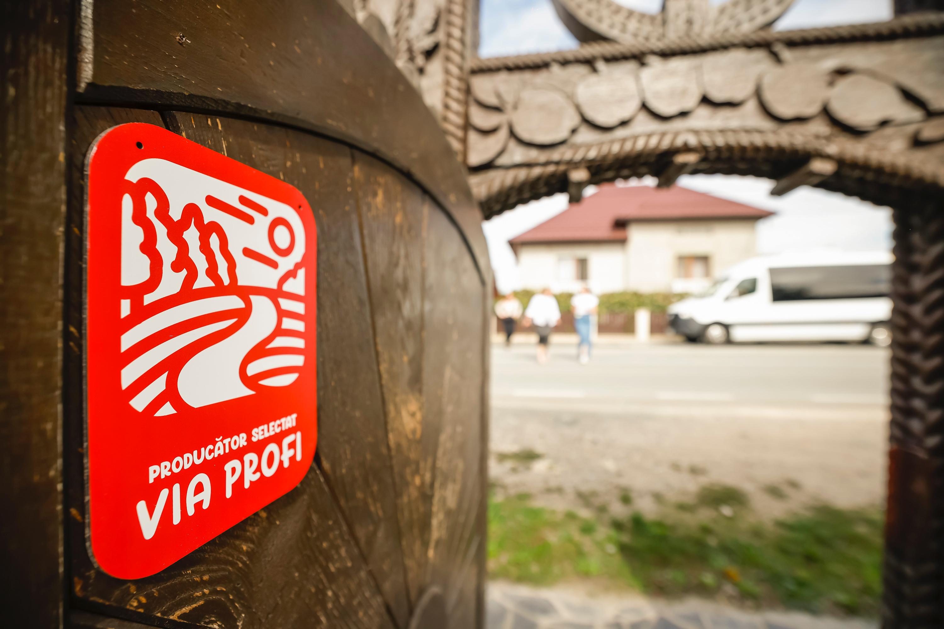 imagine principala profi