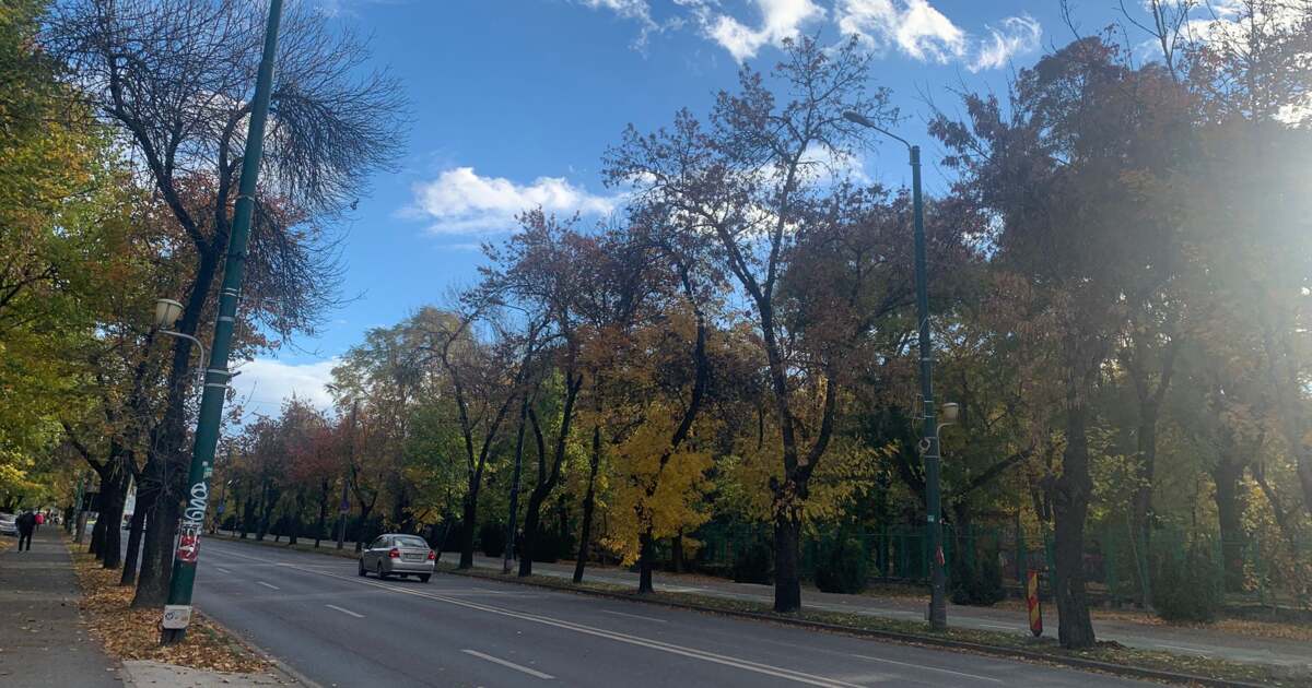 Ce activități ne așteaptă astăzi, 9 noiembrie 2025, în Timișoara?