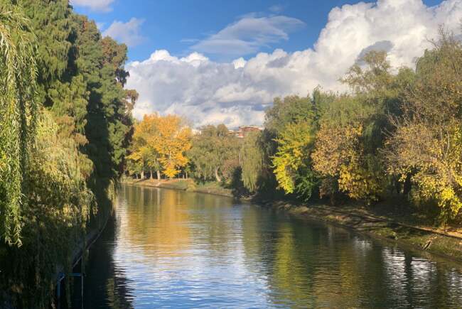 Ce facem ast&#259;zi, 18 noiembrie 2025, &icirc;n Timi&#537;oara?