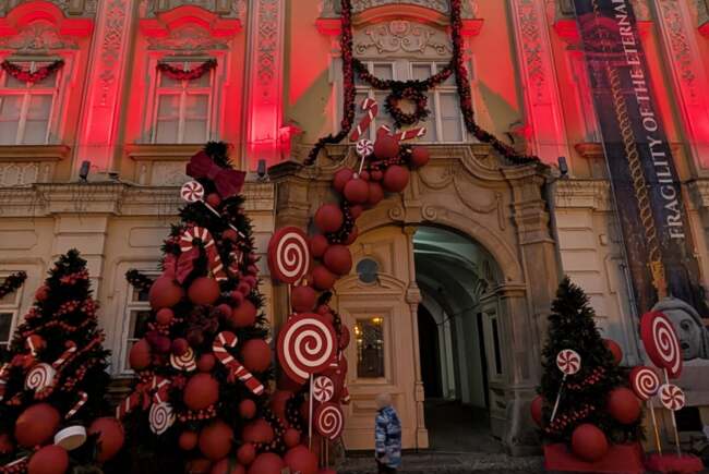 Ce facem ast&#259;zi, 29 noiembrie 2025, &icirc;n Timi&#537;oara?