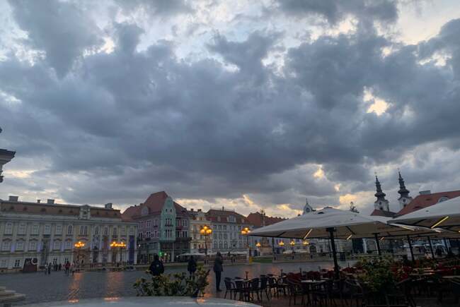 Ce facem ast&#259;zi, 19 noiembrie 2025, &icirc;n Timi&#537;oara?