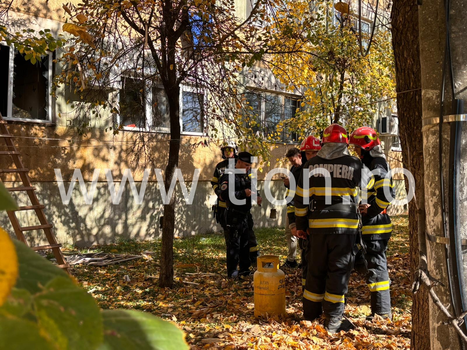 WhatsApp Image 2025-11-01 at 12.36.06 (1)