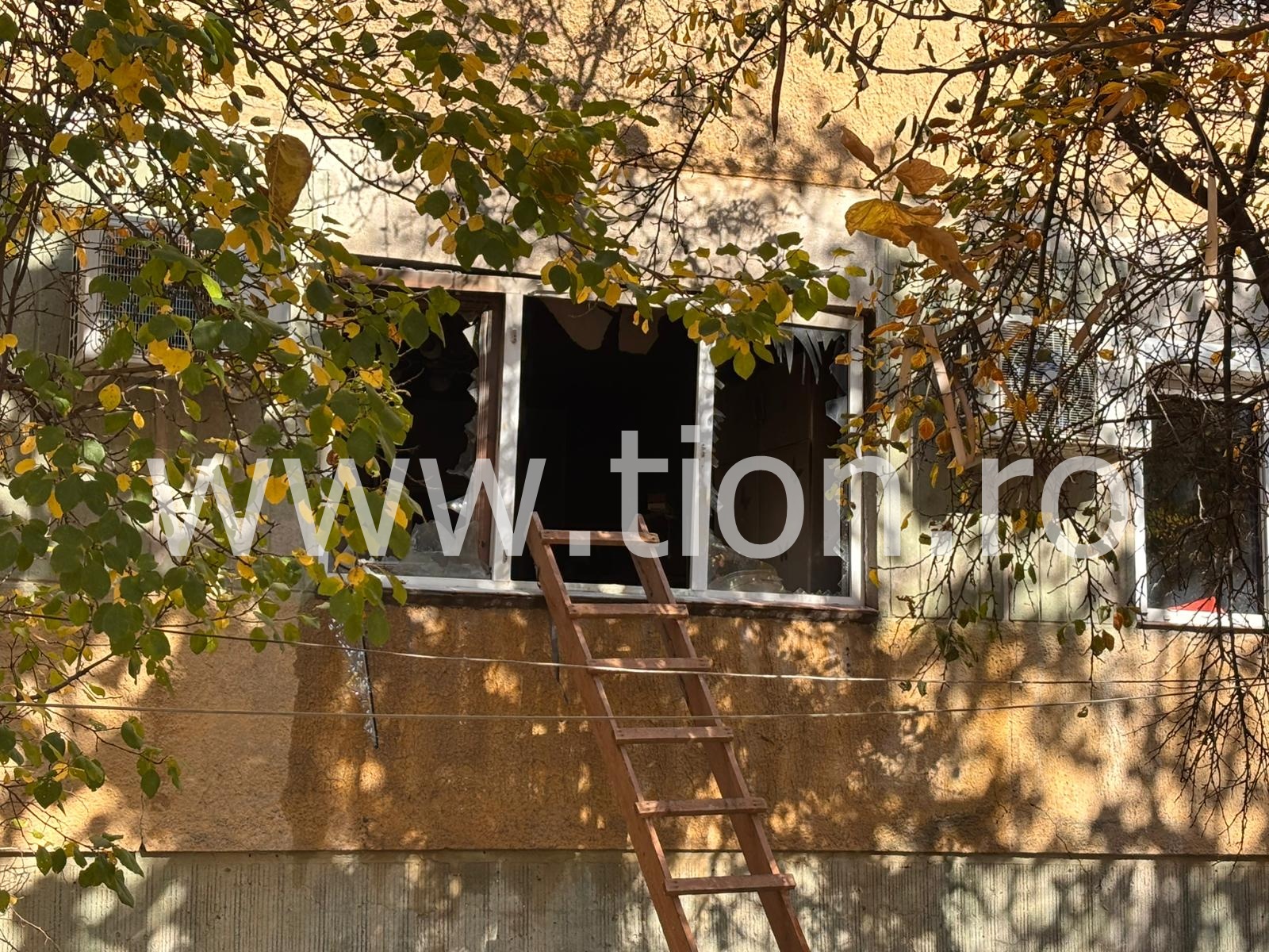 WhatsApp Image 2025-11-01 at 12.36.06 (2)