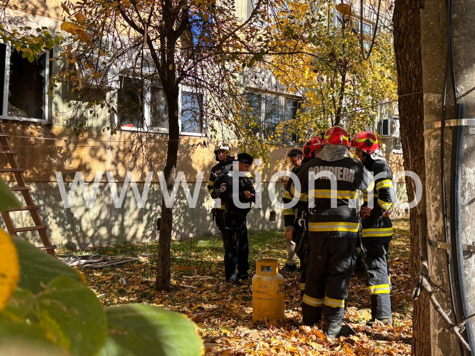 WhatsApp Image 2025-11-01 at 12.36.06