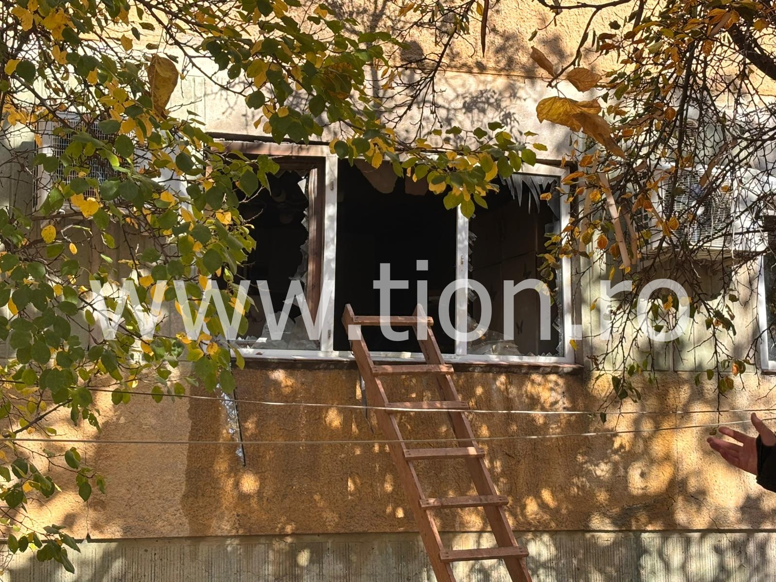 WhatsApp Image 2025-11-01 at 12.37.22 (1)