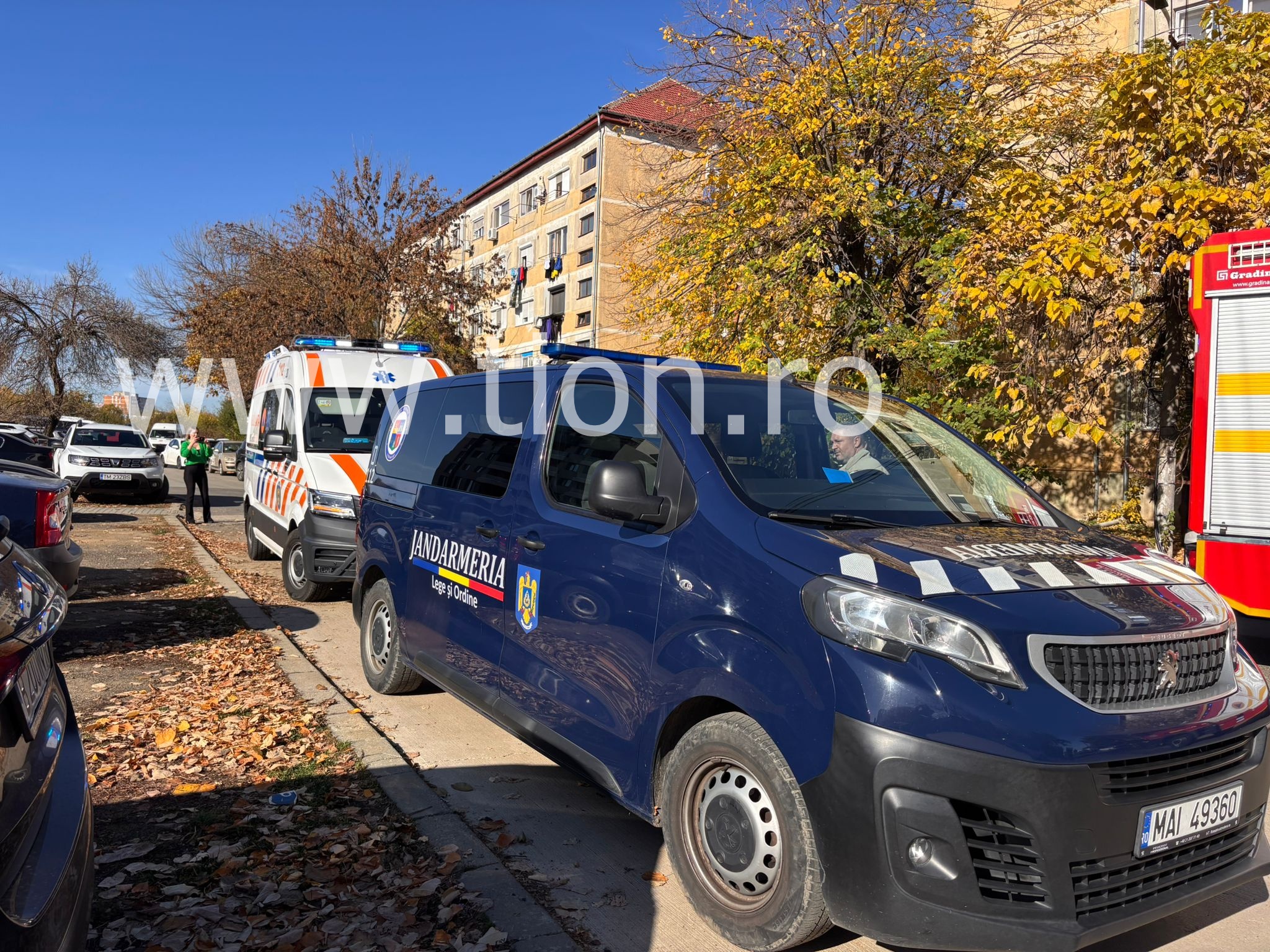 WhatsApp Image 2025-11-01 at 12.46.05