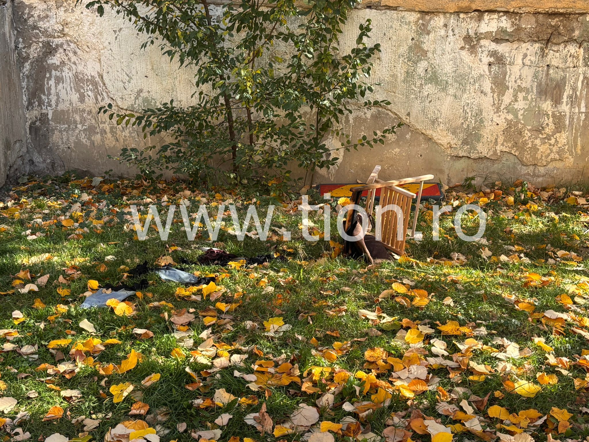 WhatsApp Image 2025-11-01 at 12.49.17 (1)