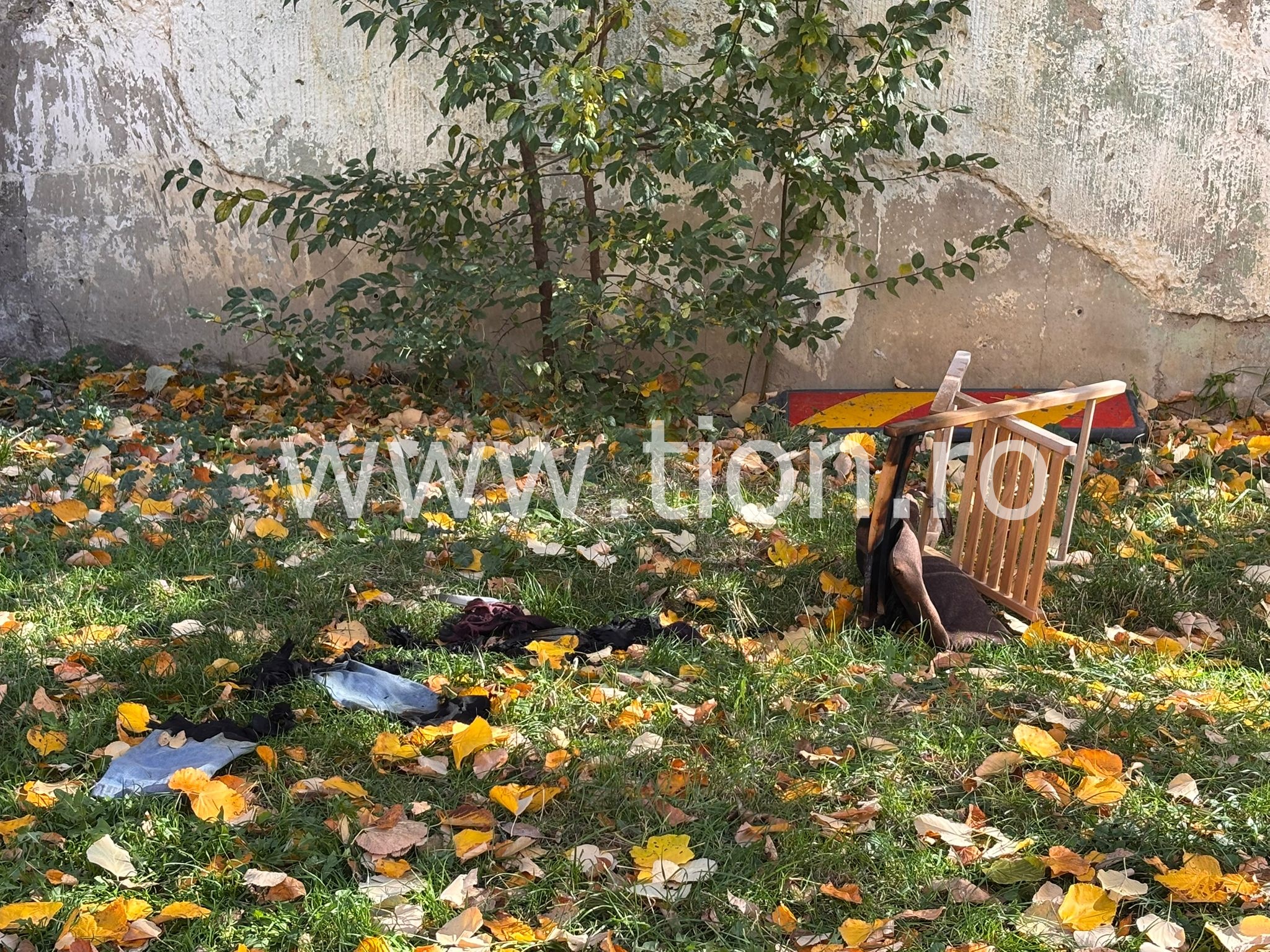 WhatsApp Image 2025-11-01 at 12.49.17