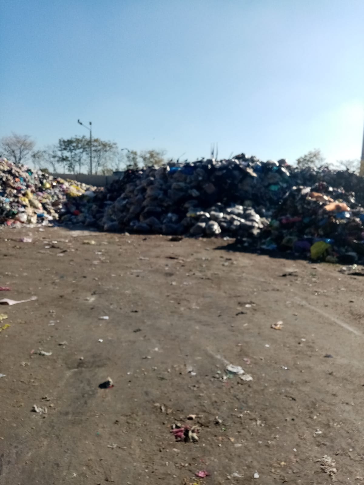 statia de sortare deseuri timisoara (5)