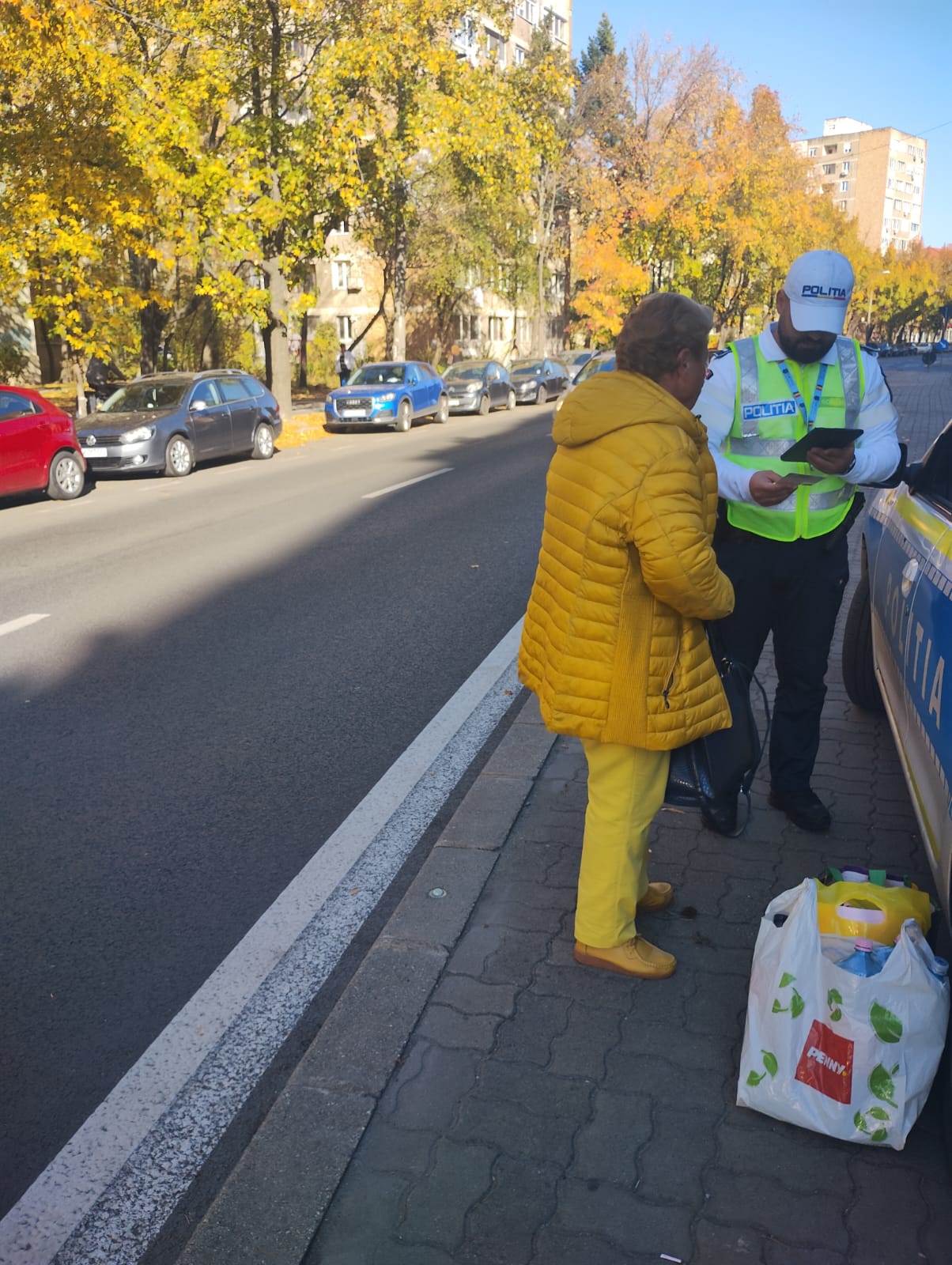 razie pietoni amendati timisoara (3)