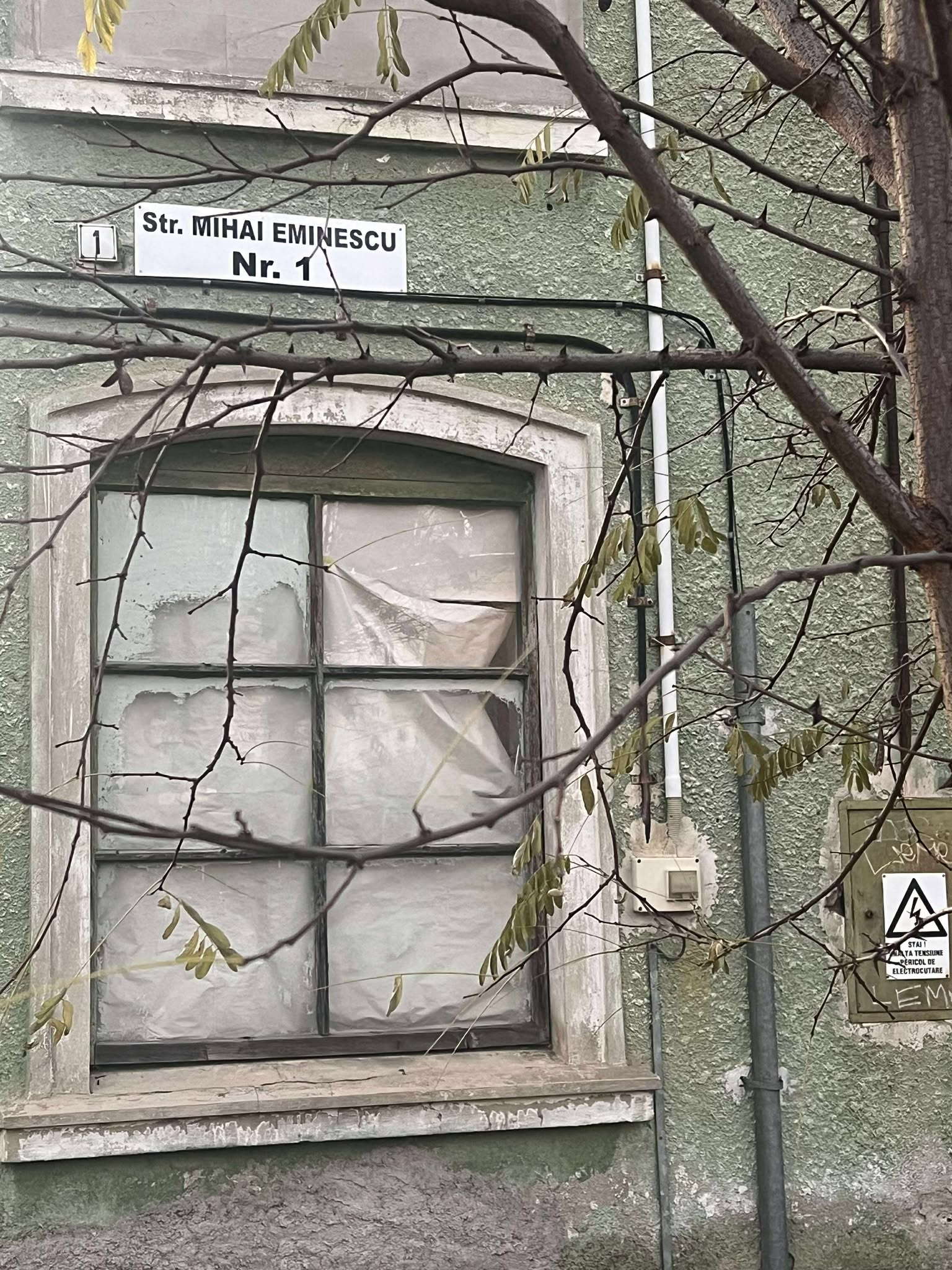 orasul victoria nov 2025 (3)