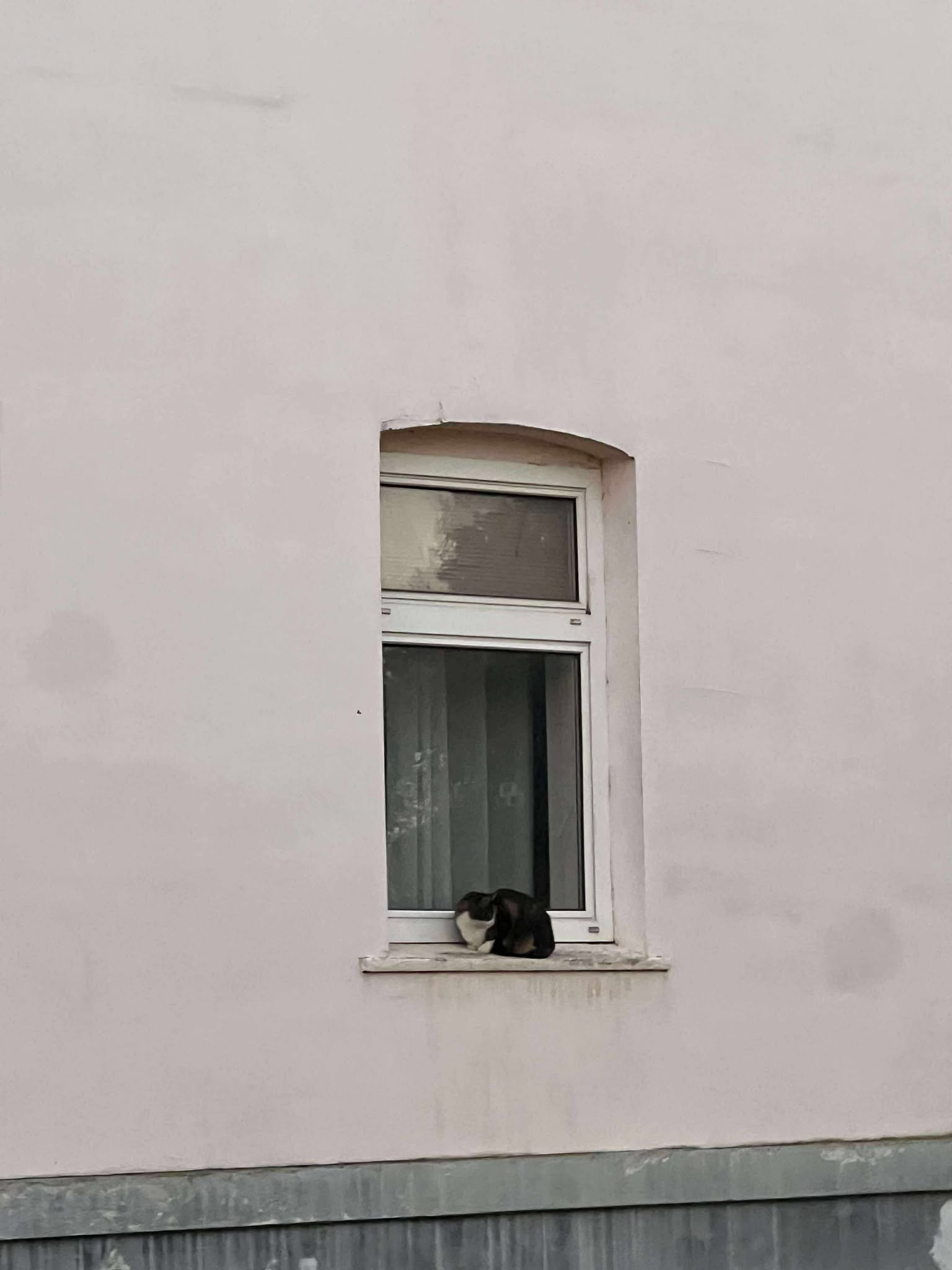 orasul victoria nov 2025 (5)