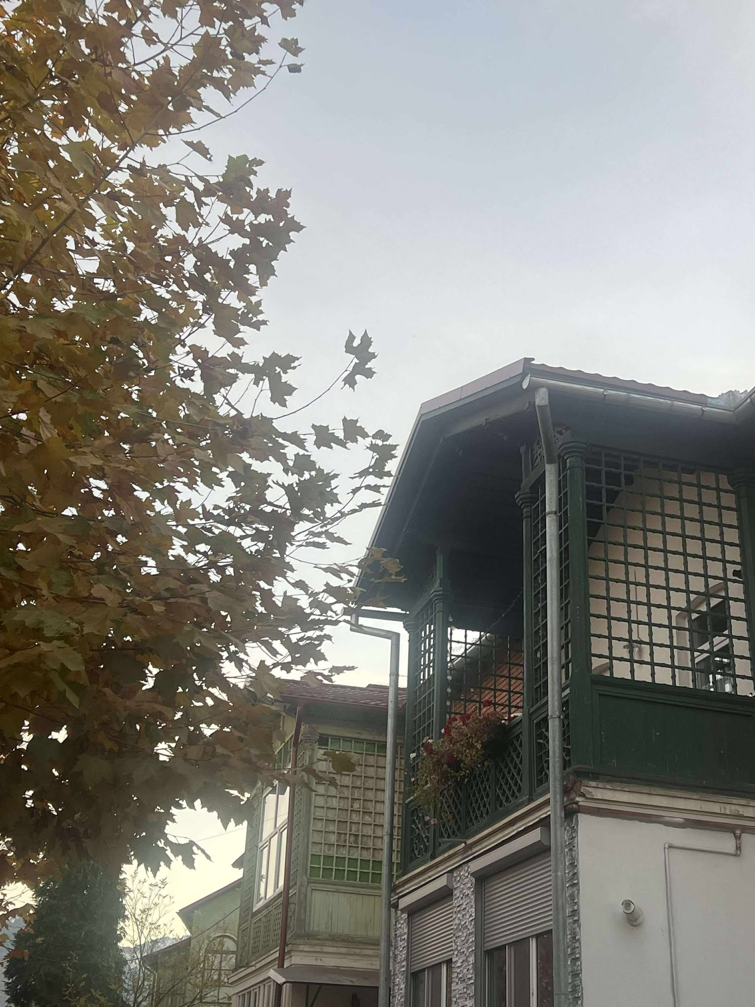 orasul victoria nov 2025 (9)