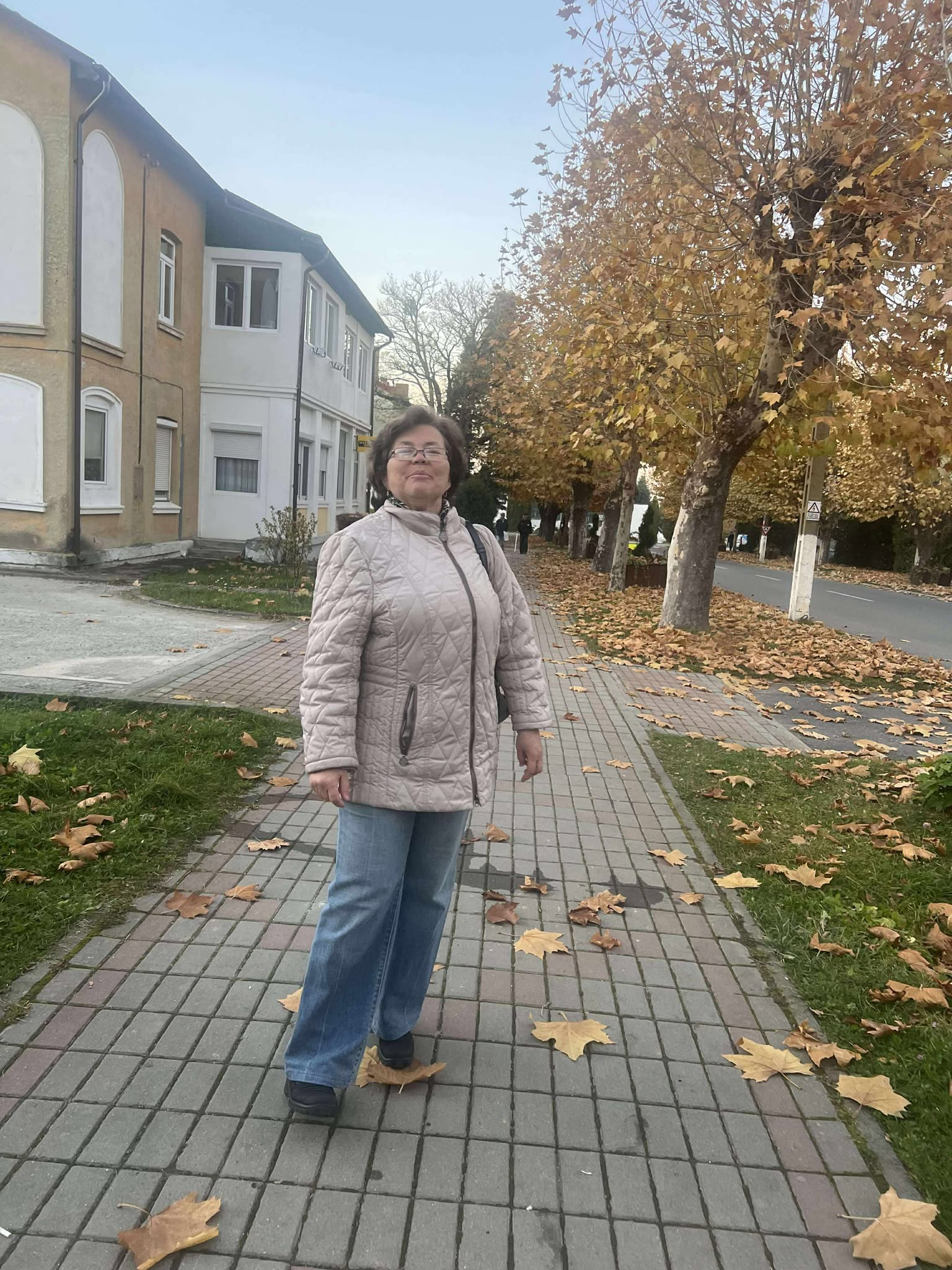 orasul victoria nov 2025 (16)