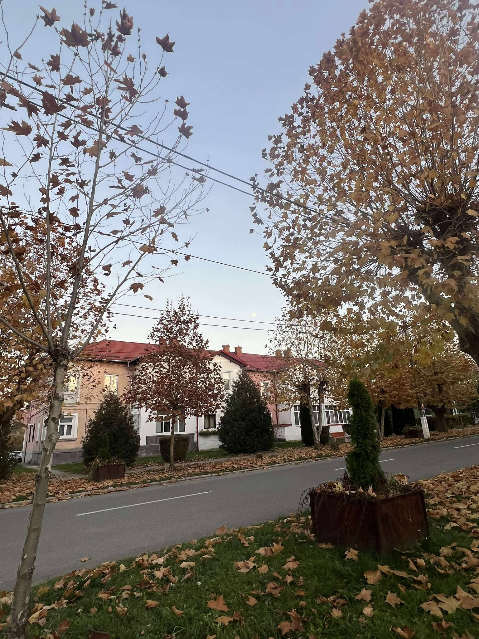 orasul victoria nov 2025 (17)