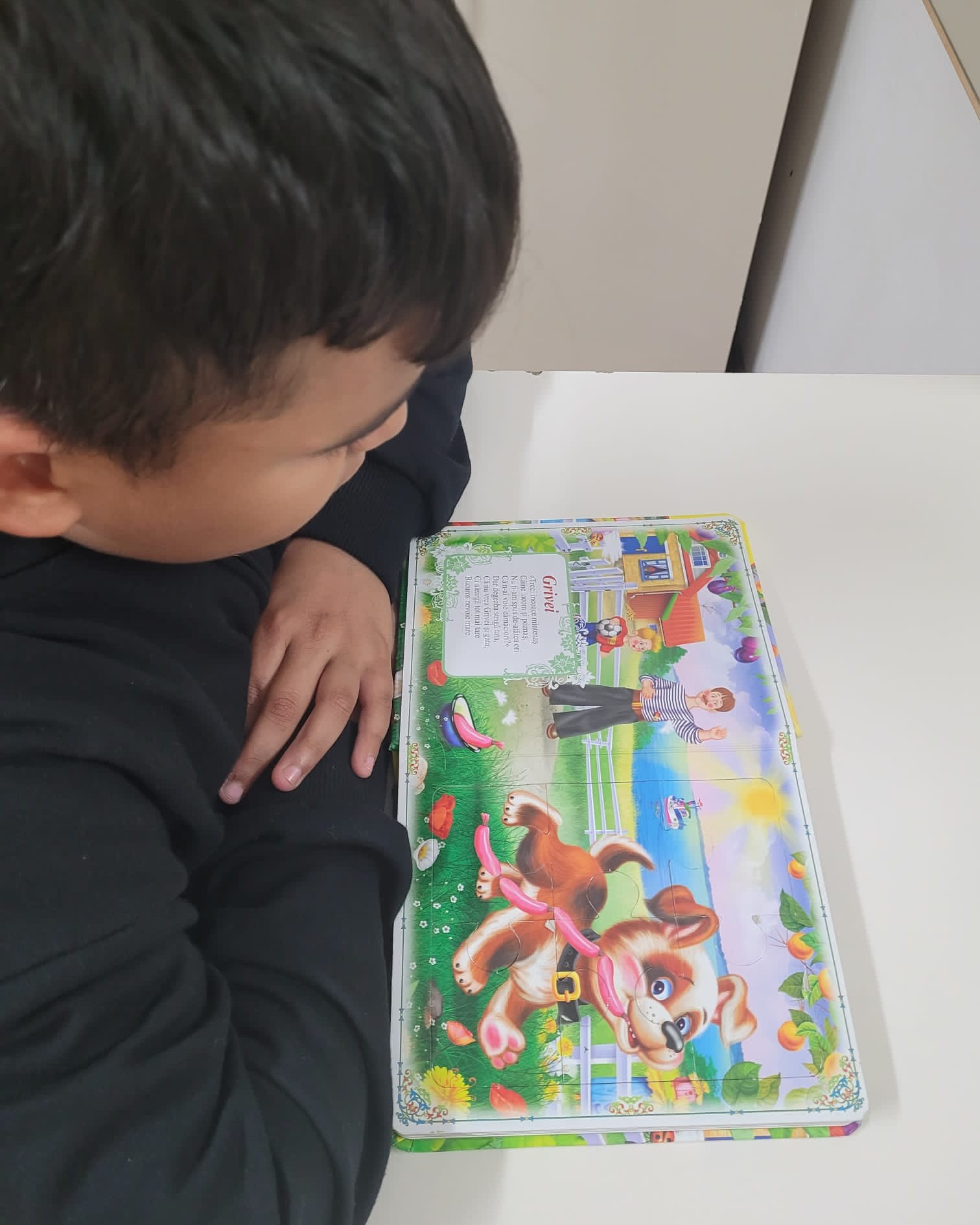 Acasă în Comunitate (7)