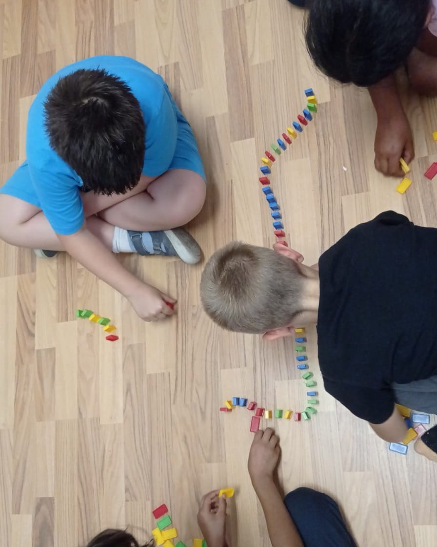 Acasă în Comunitate (3)