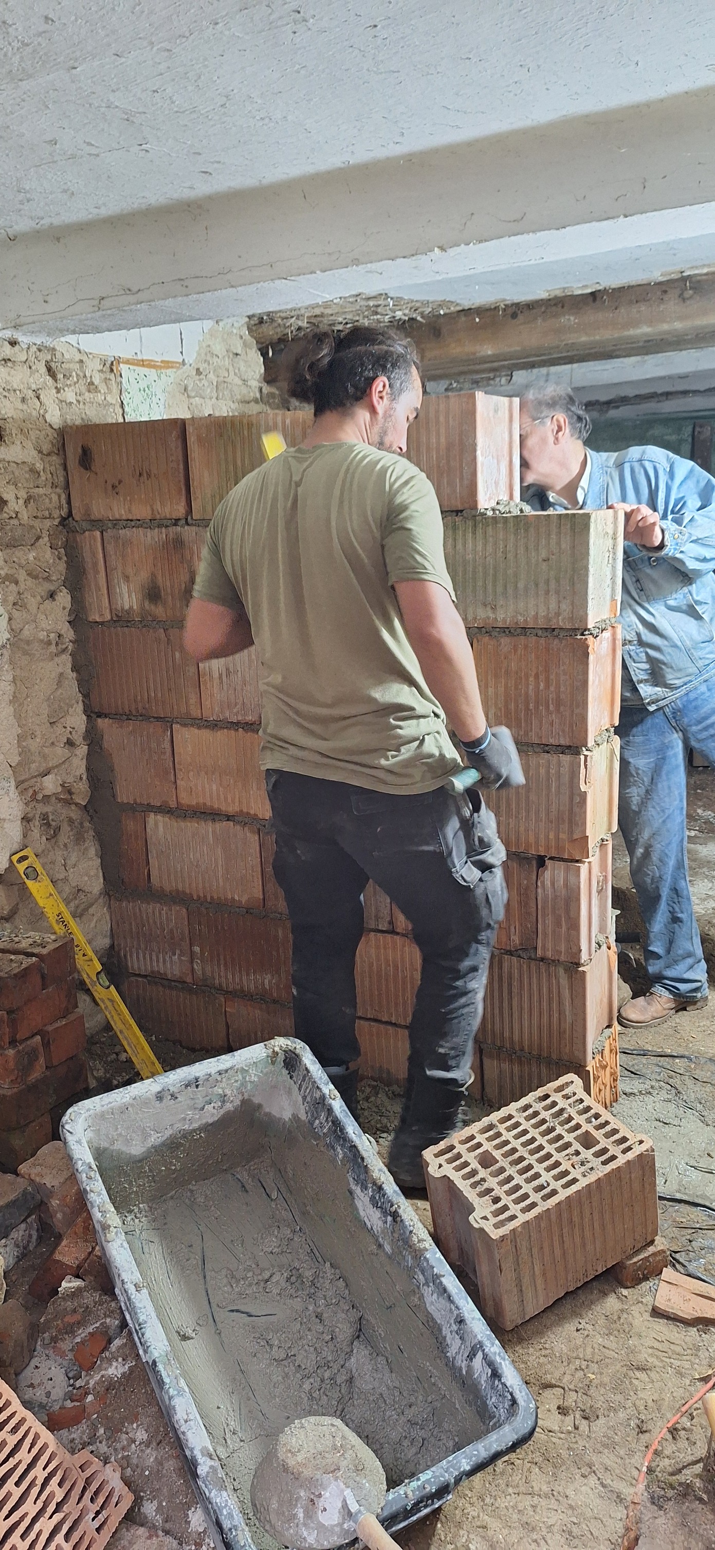 voluntari acasa in banat (12)