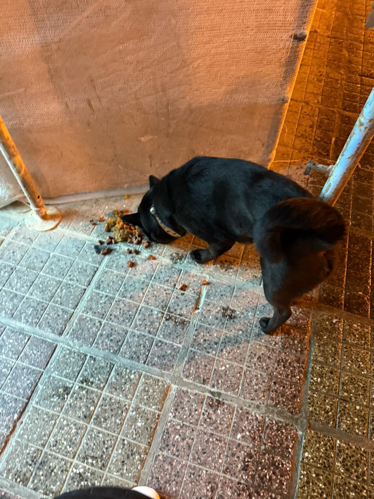 WhatsApp Image 2025-11-17 at 15.49.26