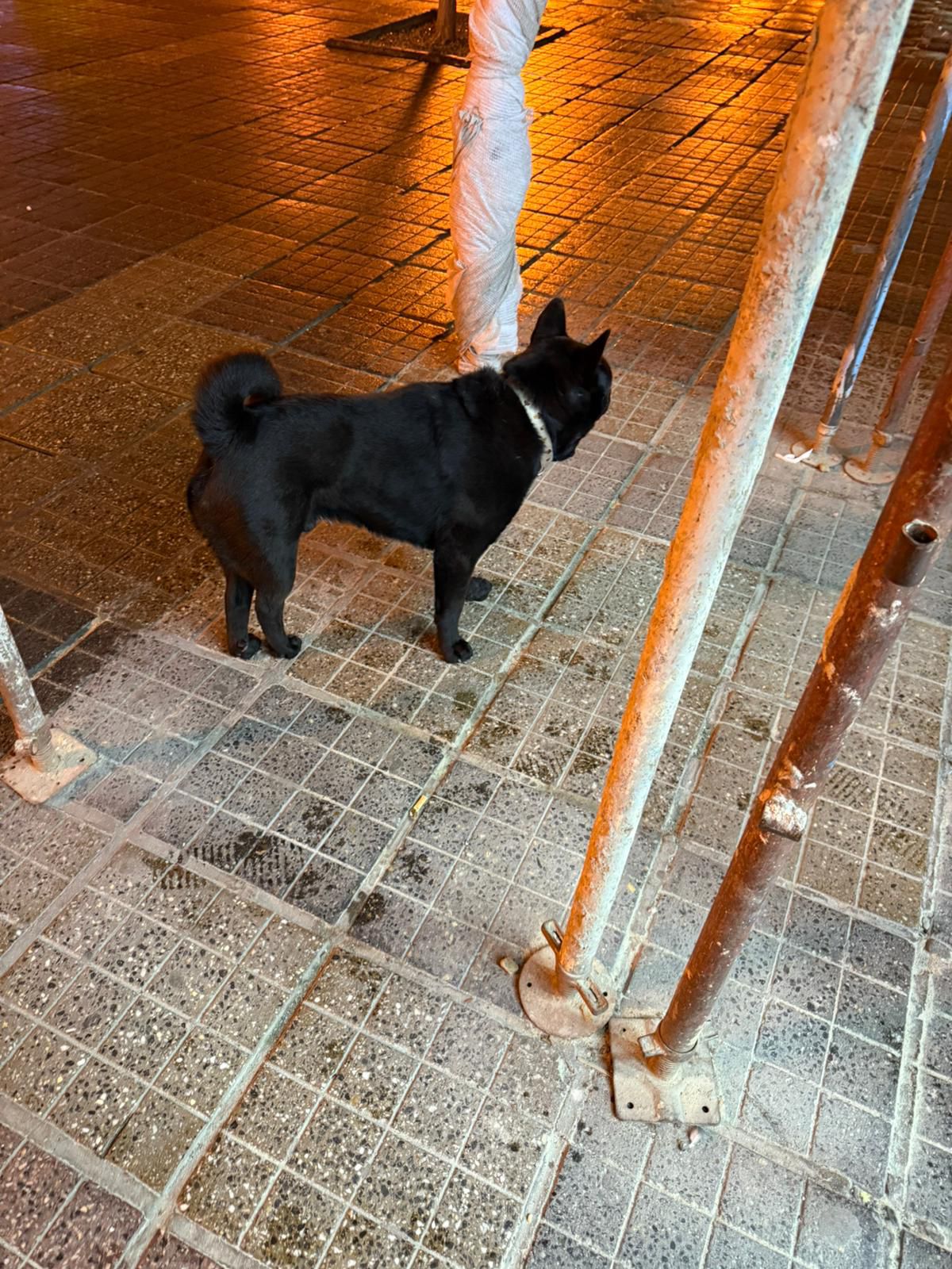 WhatsApp Image 2025-11-17 at 15.49.26 (1)