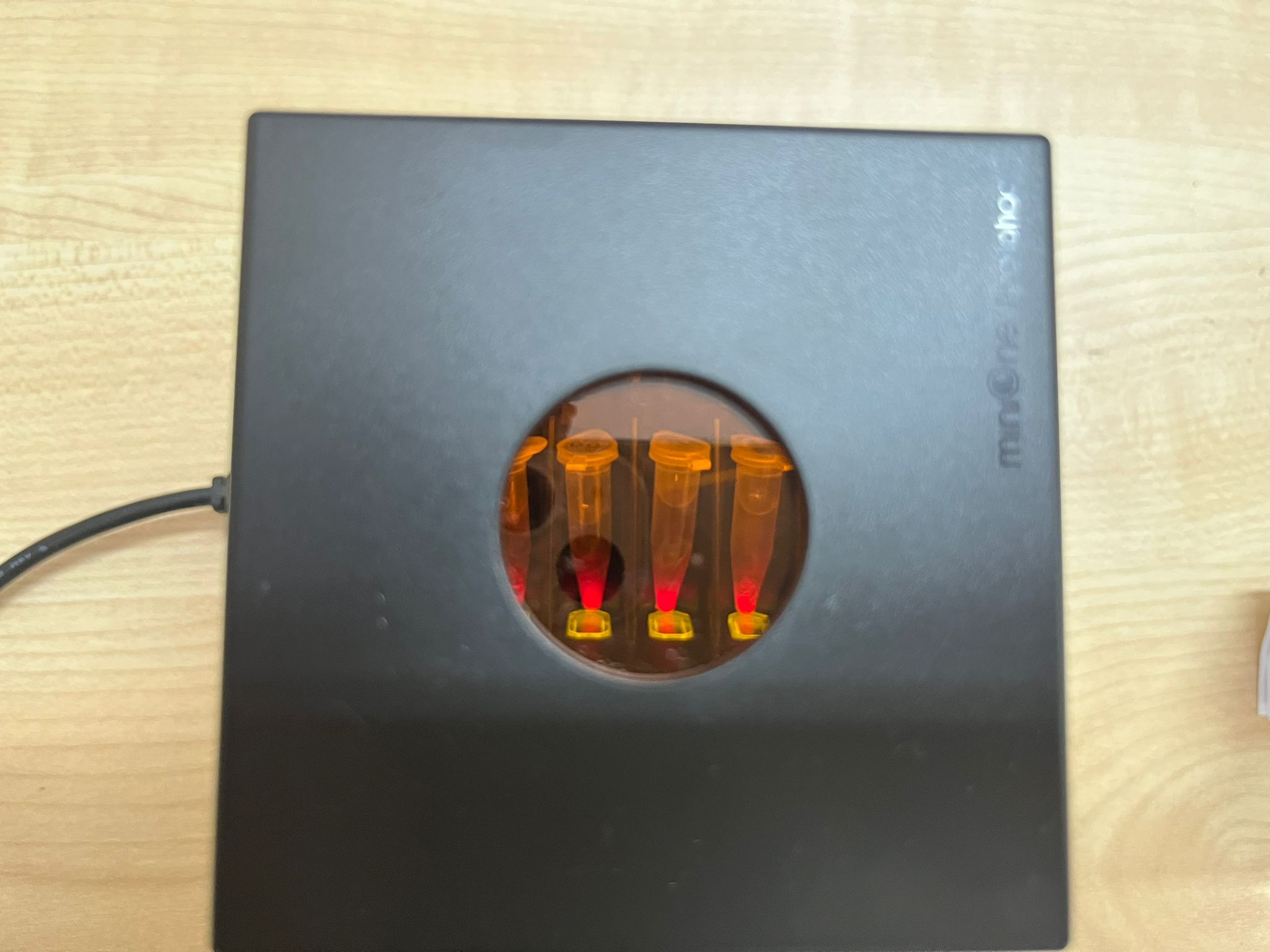 WhatsApp Image 2025-11-18 at 14.48.36