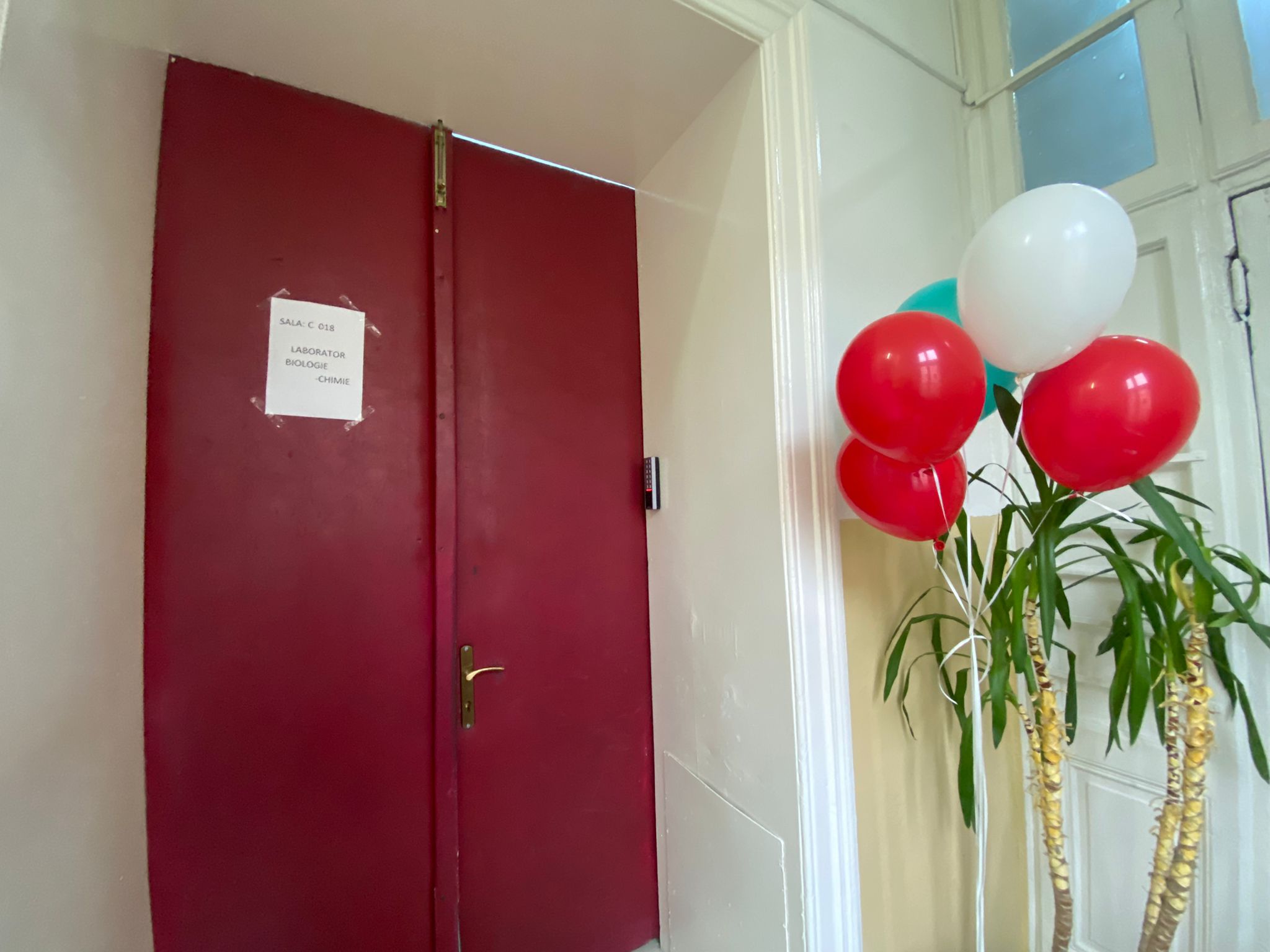 WhatsApp Image 2025-11-18 at 14.48.35 (1)