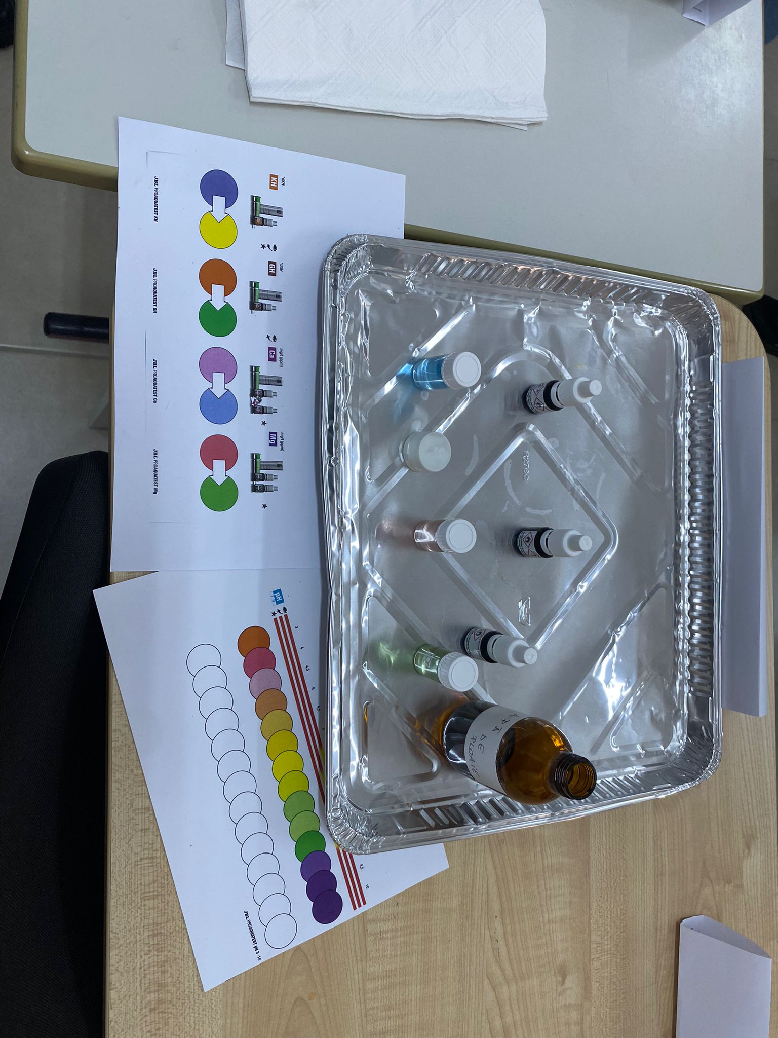 WhatsApp Image 2025-11-18 at 14.48.33 (1)