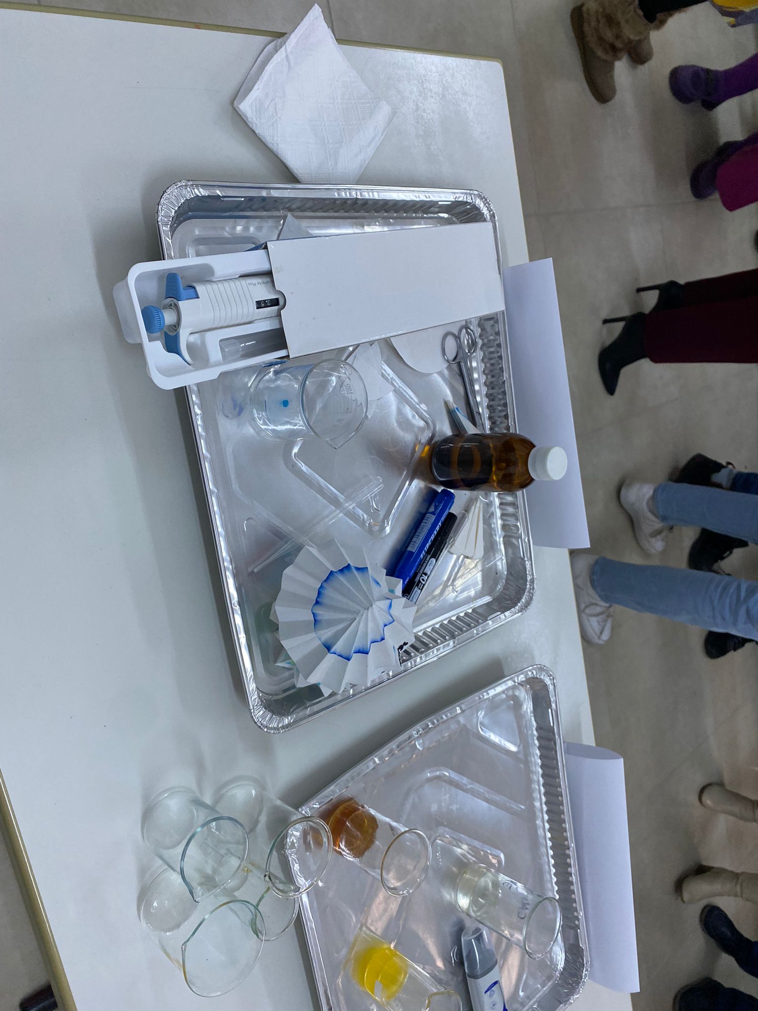 WhatsApp Image 2025-11-18 at 14.48.33