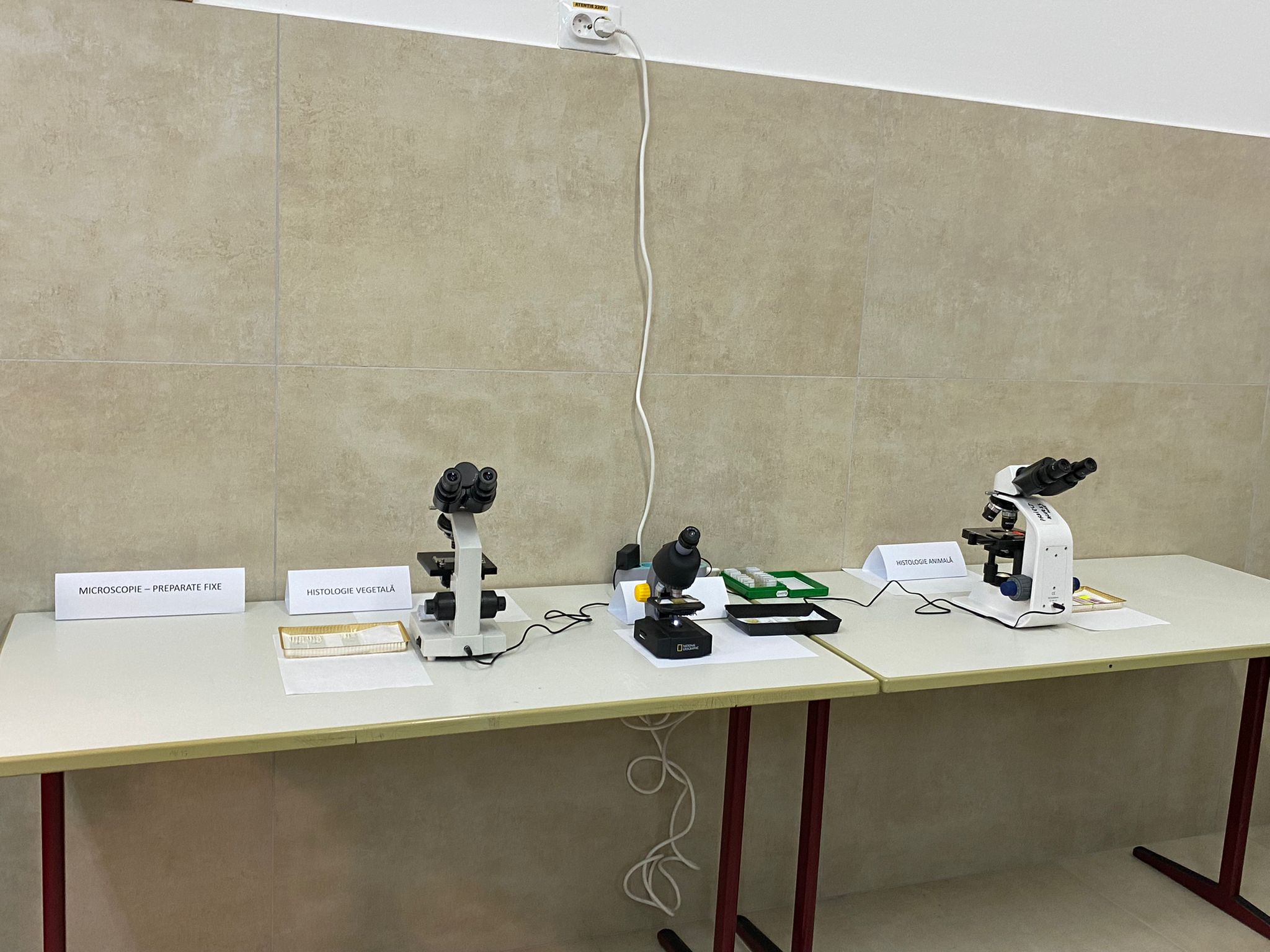 WhatsApp Image 2025-11-18 at 14.48.26