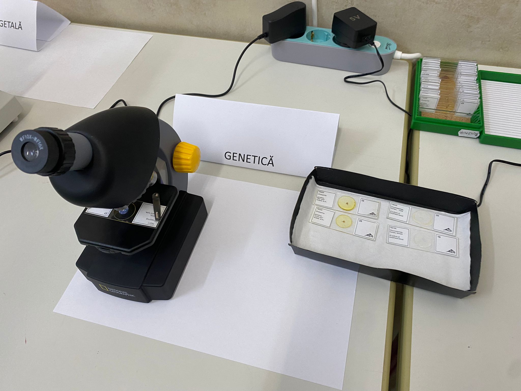 WhatsApp Image 2025-11-18 at 14.48.14