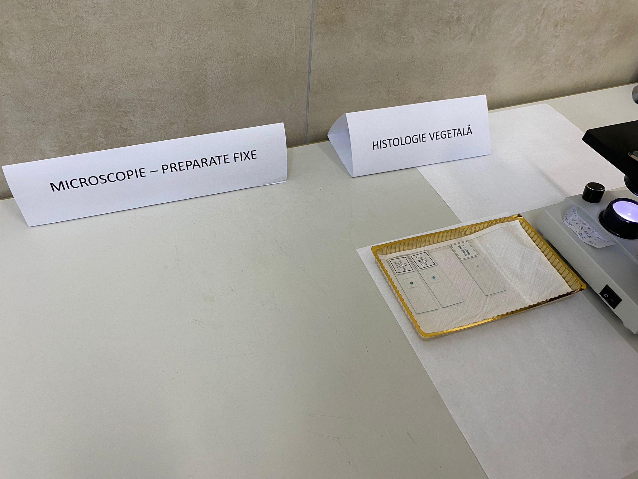 WhatsApp Image 2025-11-18 at 14.48.13 (1)