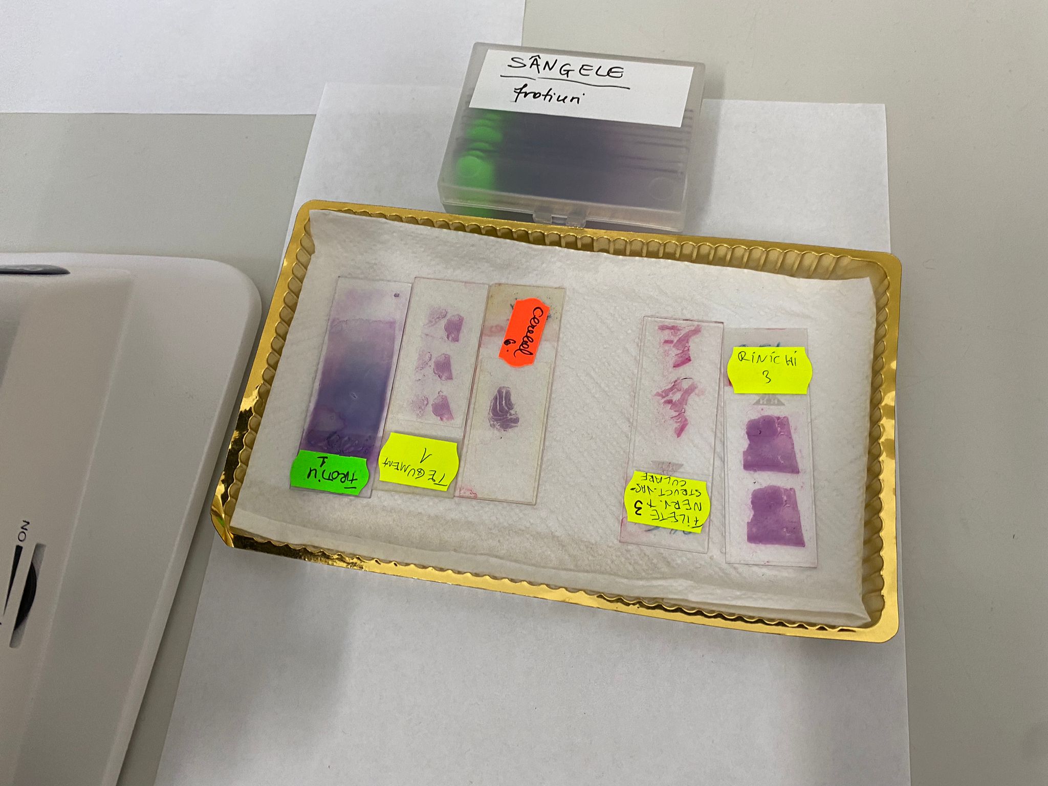 WhatsApp Image 2025-11-18 at 14.48.13