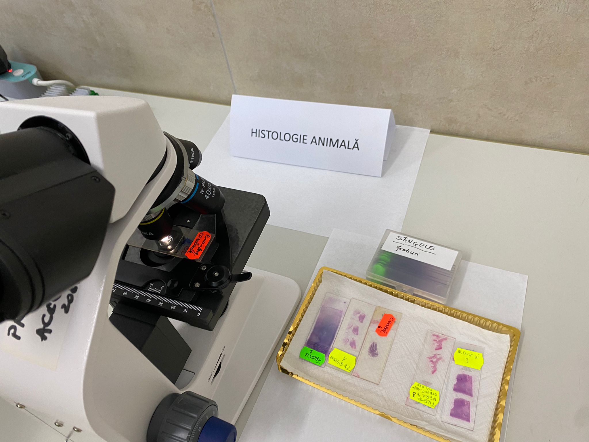 WhatsApp Image 2025-11-18 at 14.48.12