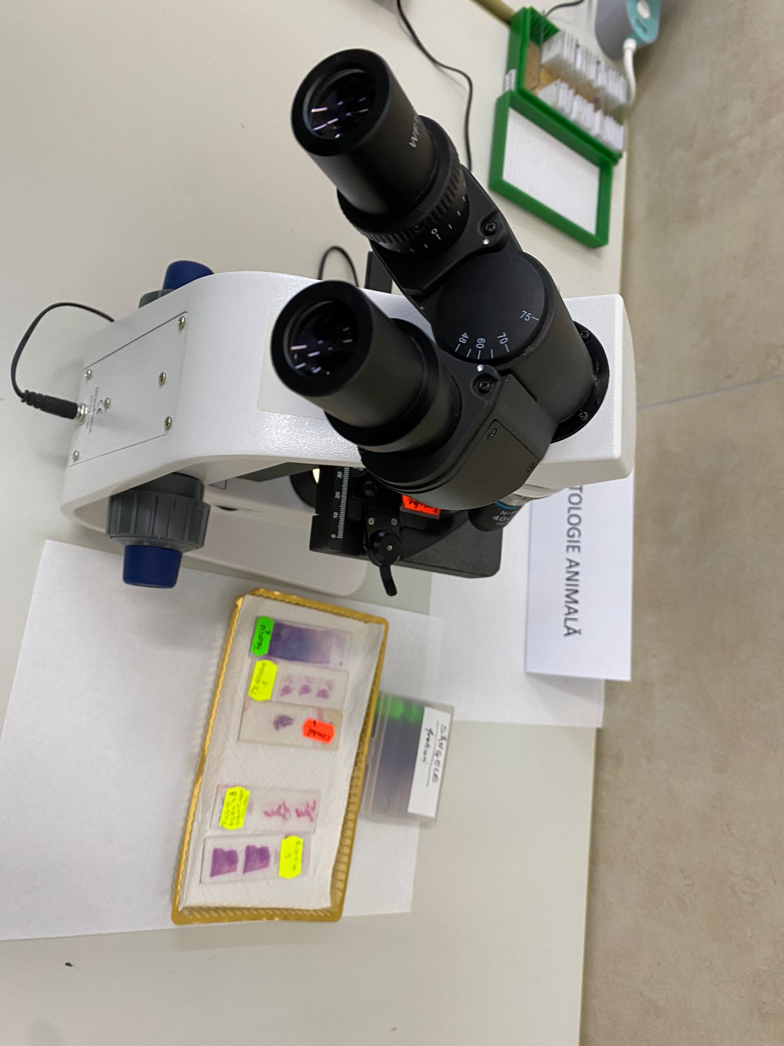 WhatsApp Image 2025-11-18 at 14.48.11