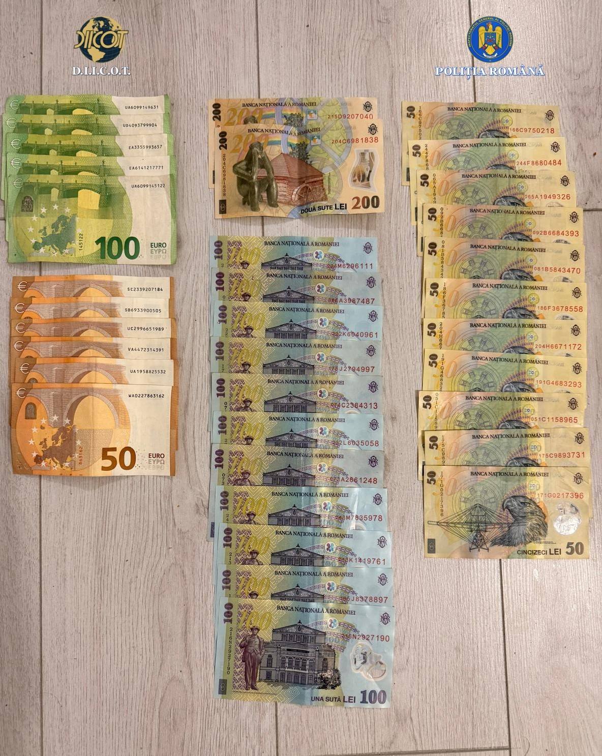 WhatsApp Image 2025-11-19 at 12.56.26 (3)