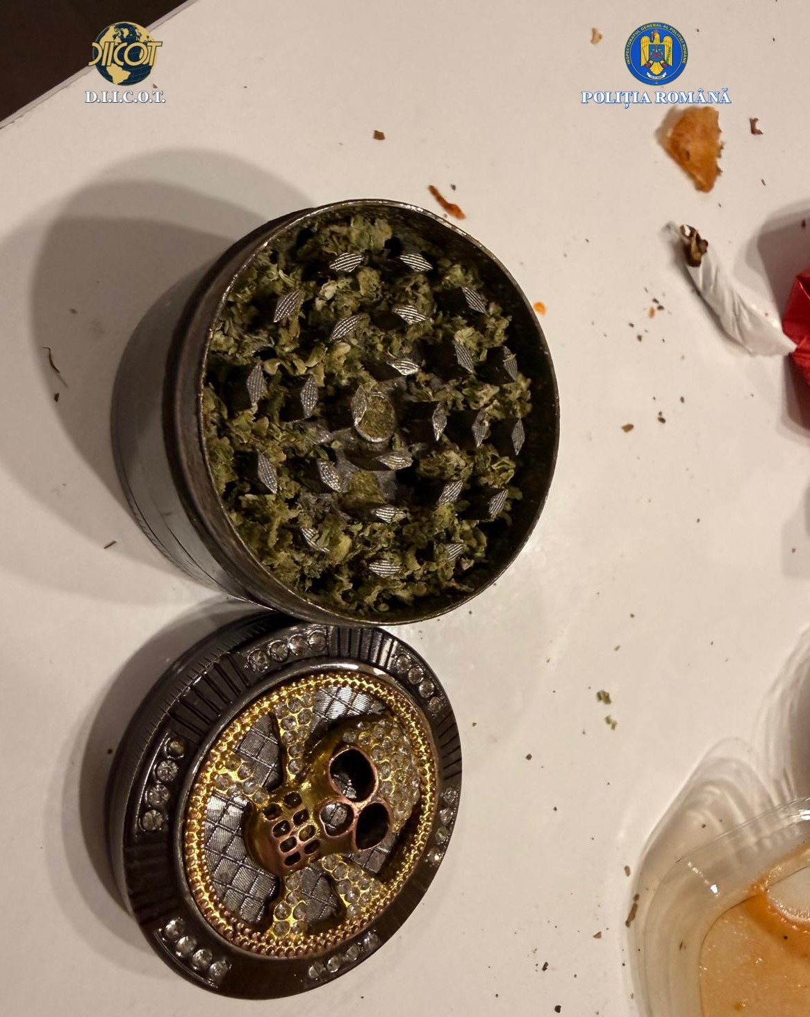 WhatsApp Image 2025-11-19 at 12.56.26 (2)