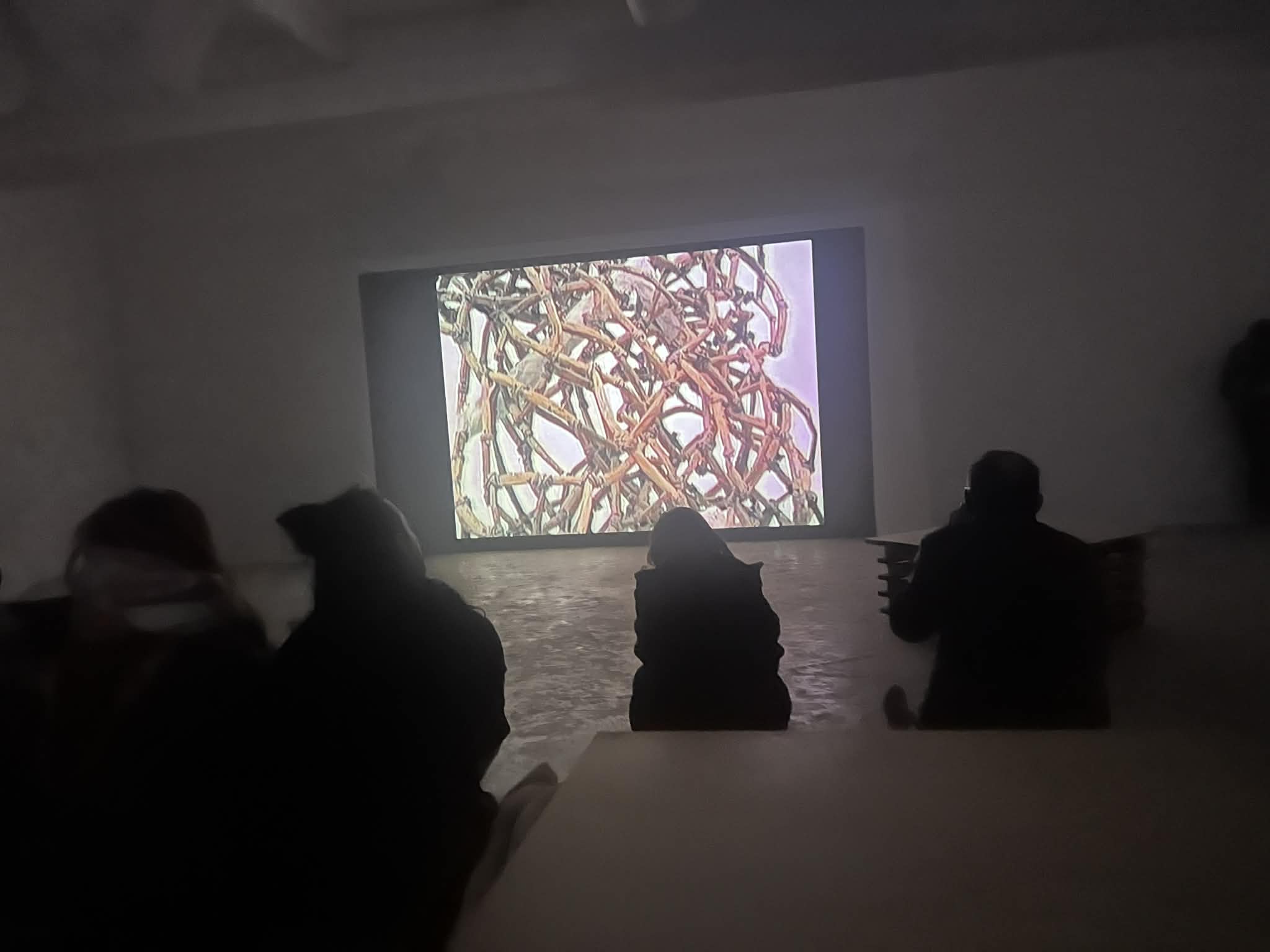 9b1b95fc-7283-42d7-8157-8575f5ee125f